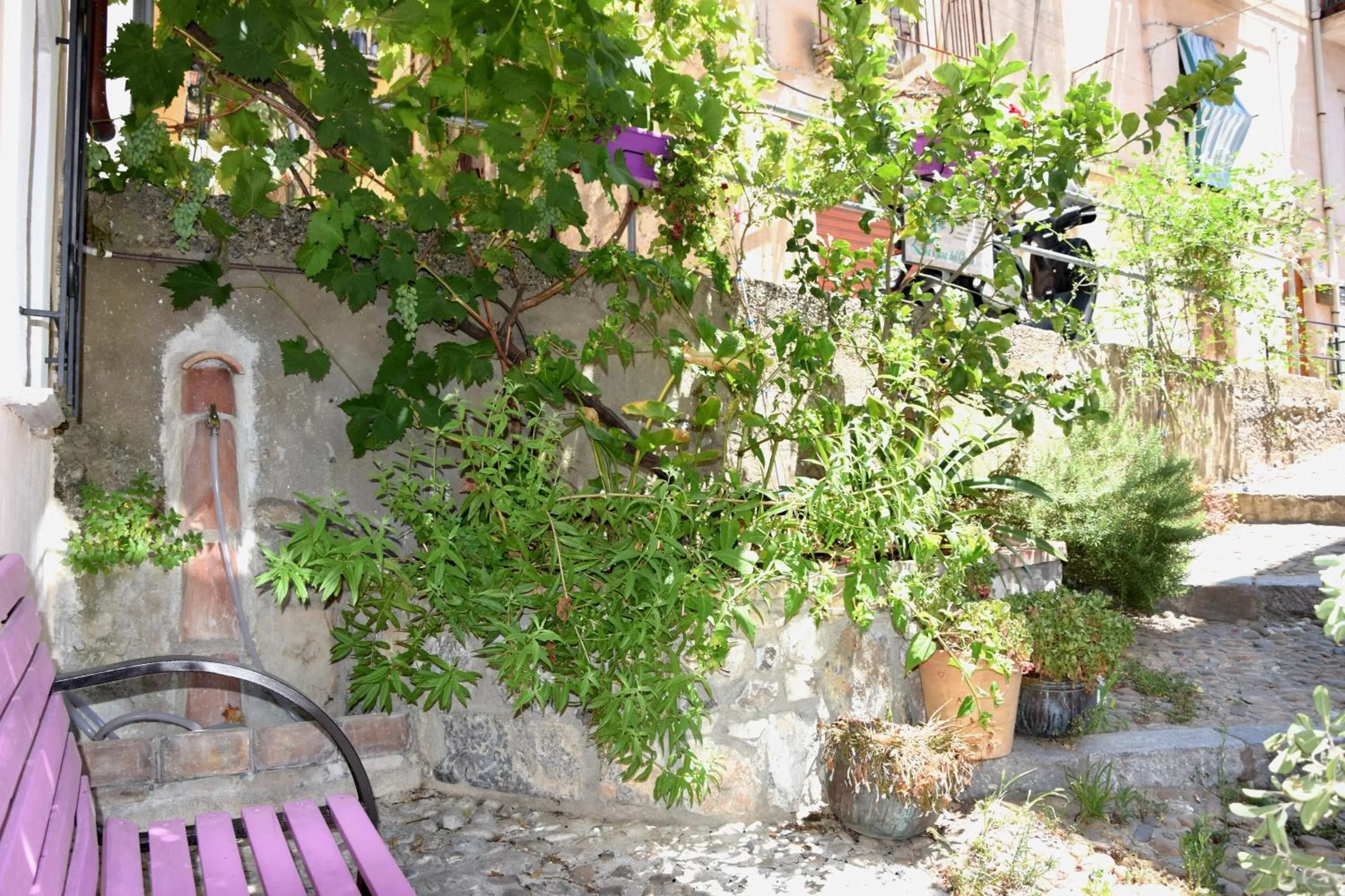 Property building in La Casa del Geko