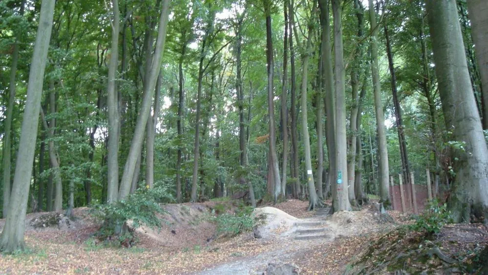 Other in Hotel Haus Deutsch Krone