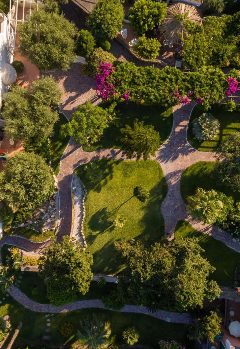 Garden view in Hotel Terme Tritone Resort & Spa