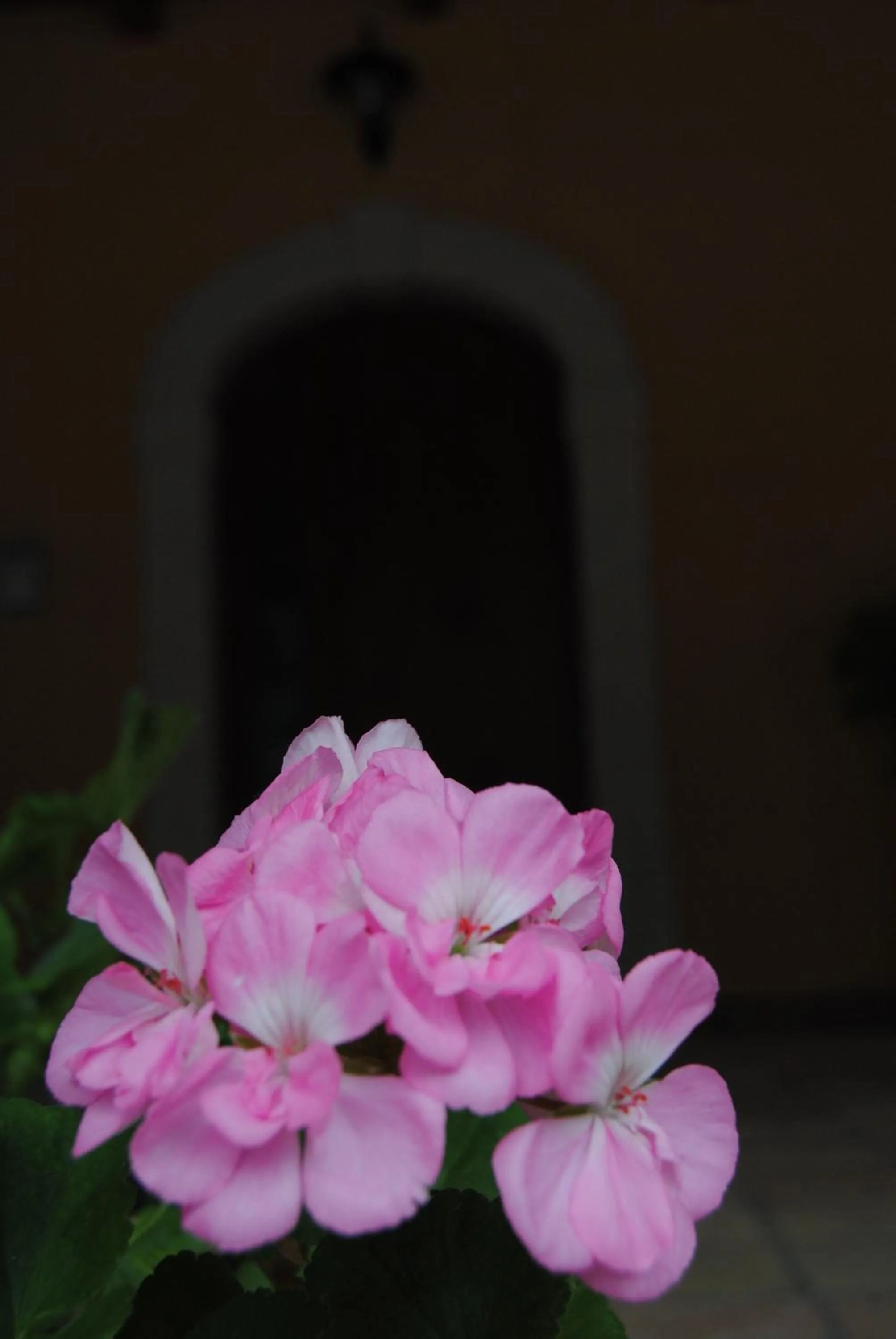 Other in B&B Pascale