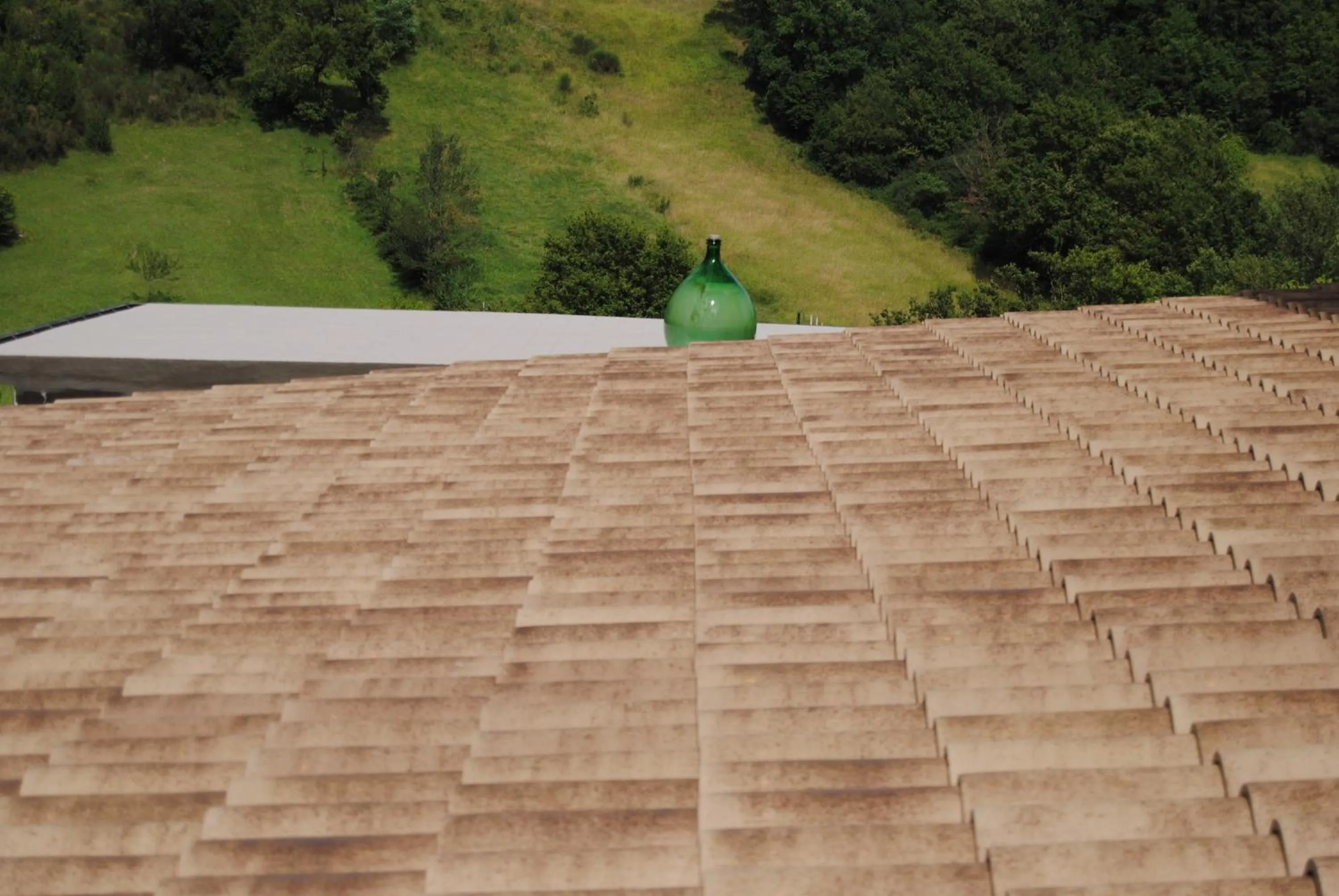 Natural landscape in B&B Pascale