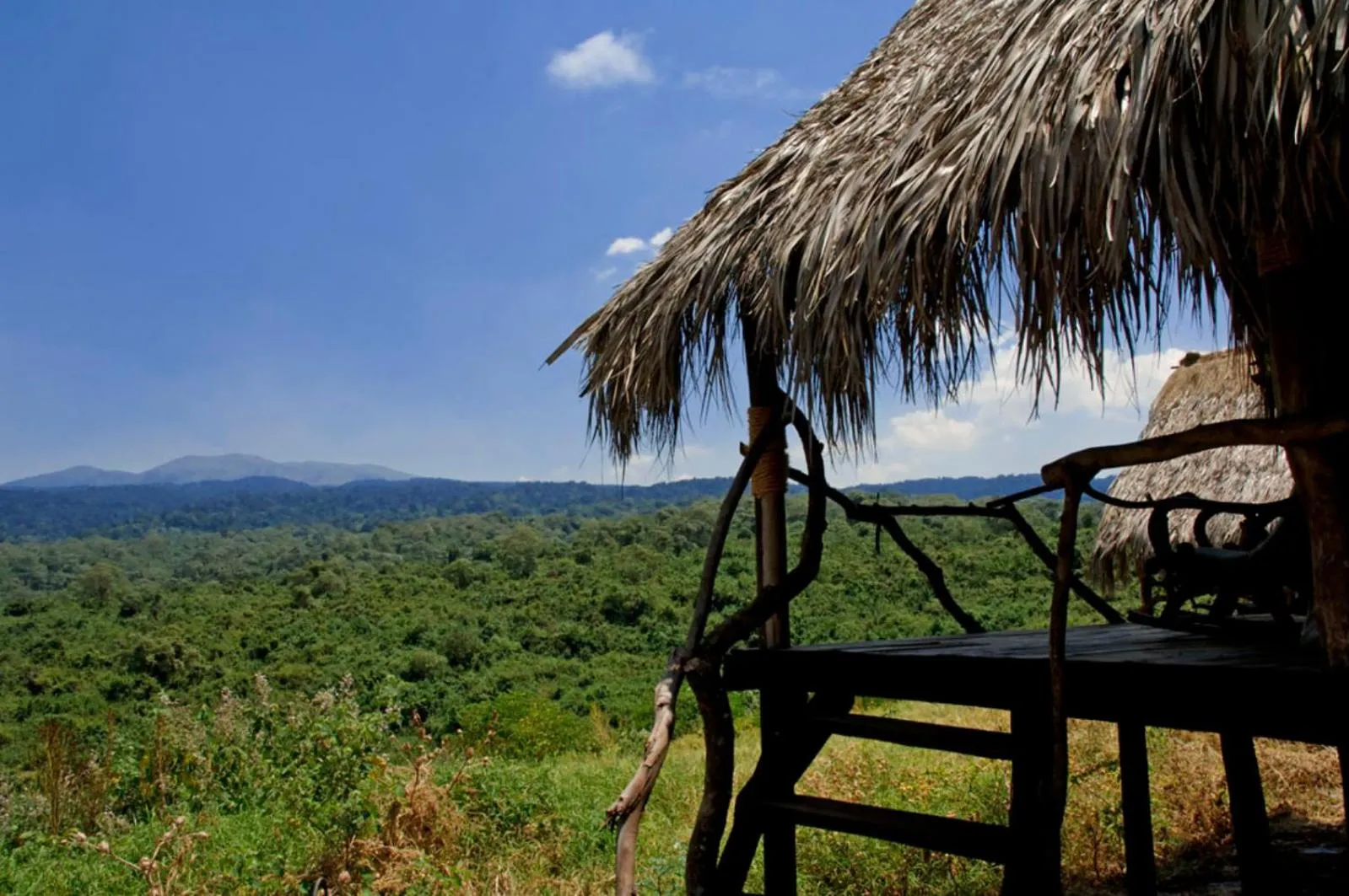 Day in Crater Forest Tented Lodge