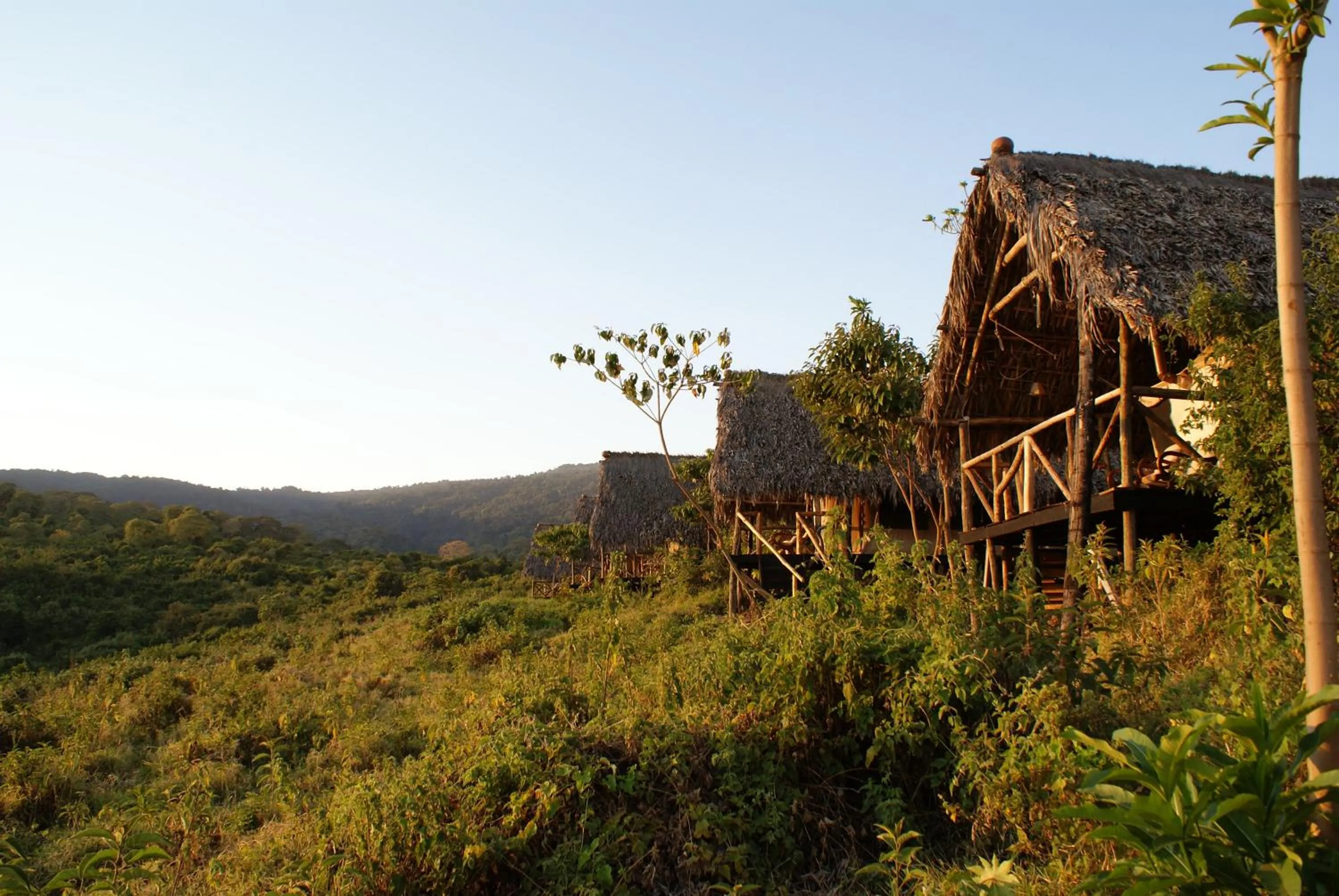 Spring in Crater Forest Tented Lodge
