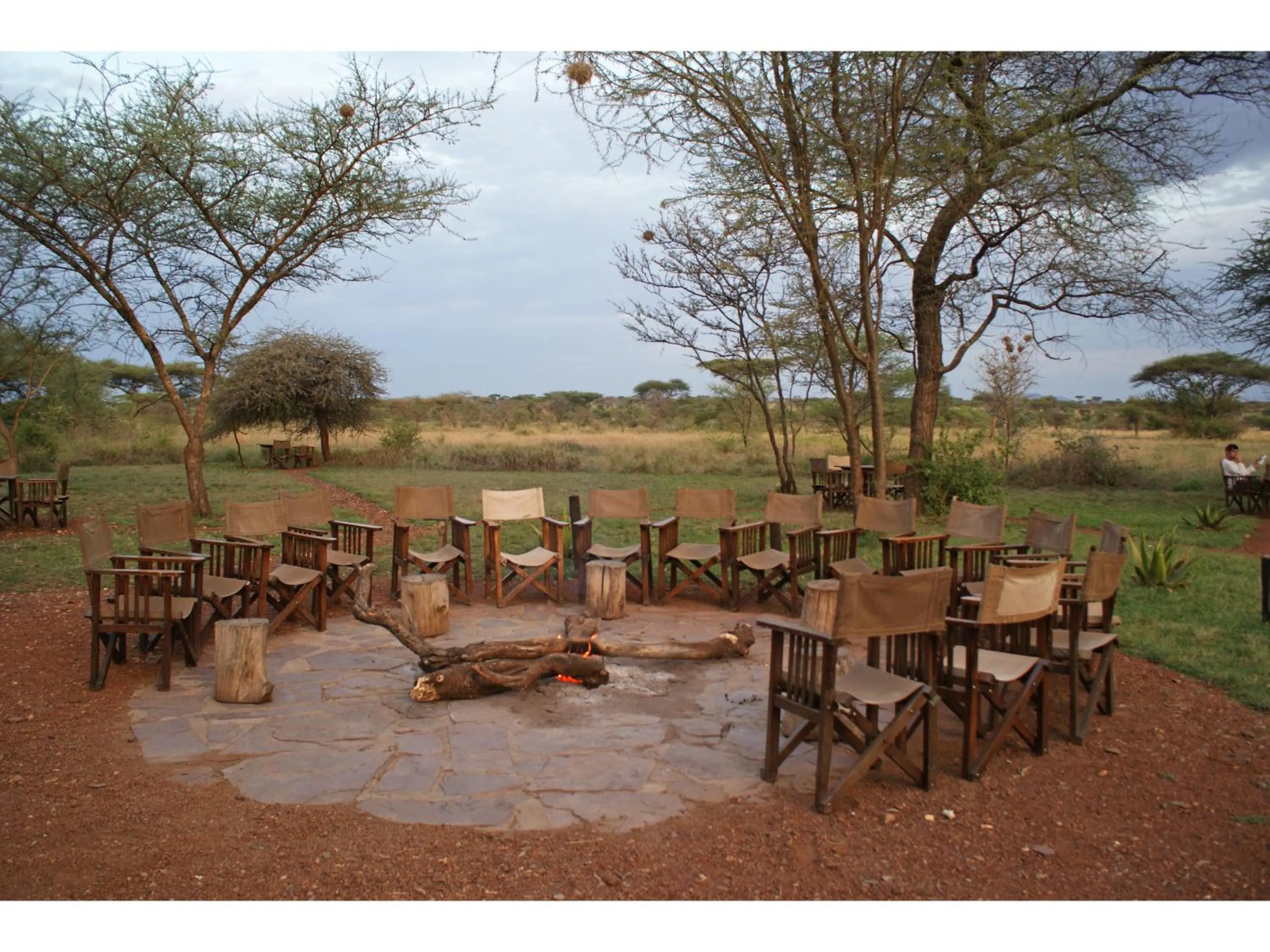 Day in Ikoma Bush Camp