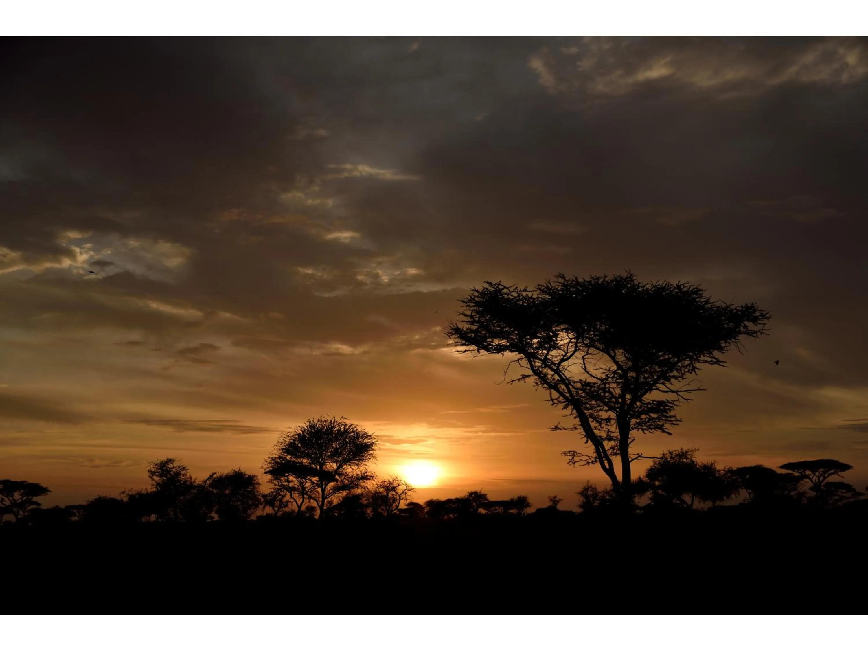 Sunset in Ikoma Bush Camp