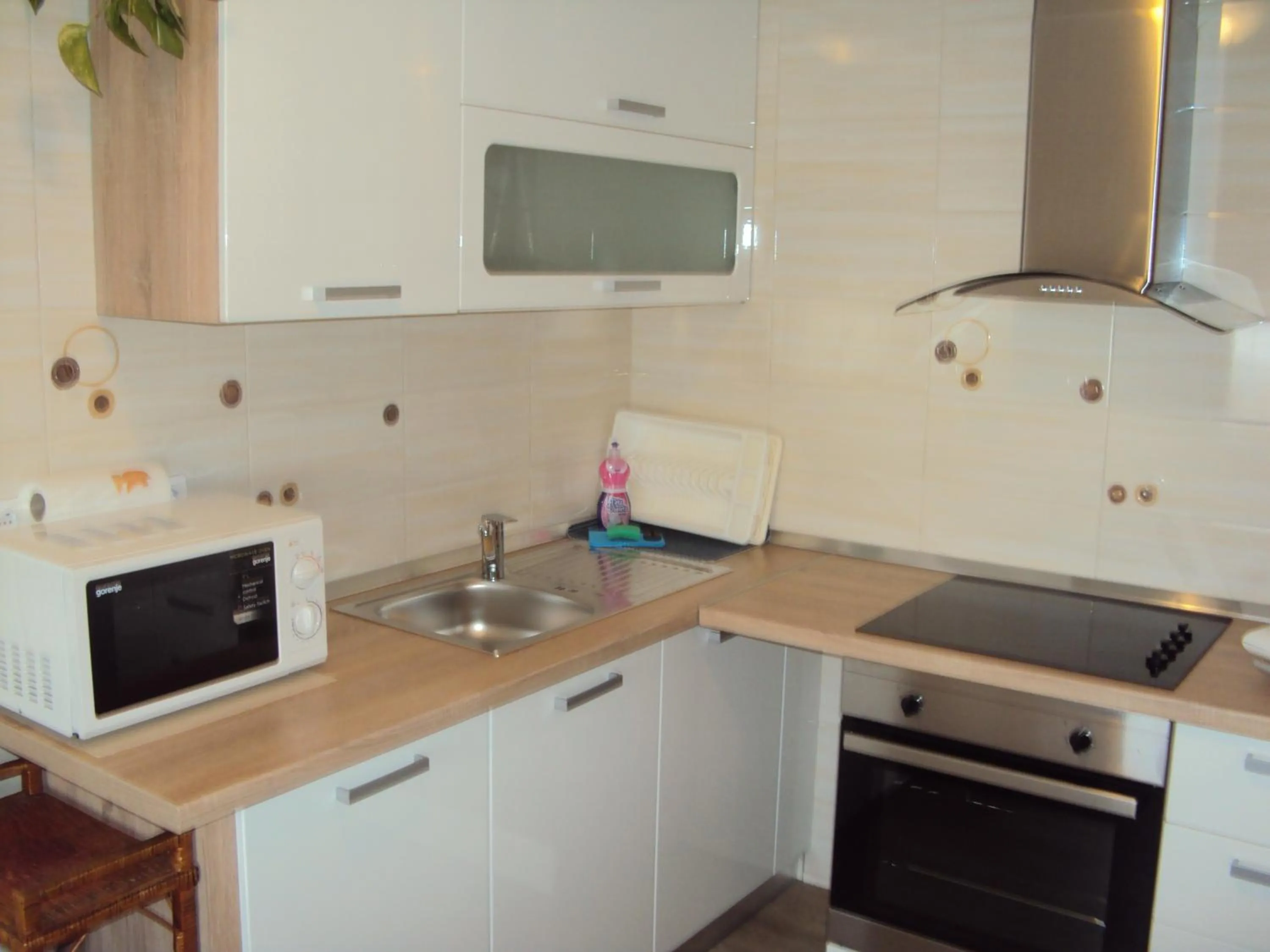 Kitchen or kitchenette in Apartment Maruška