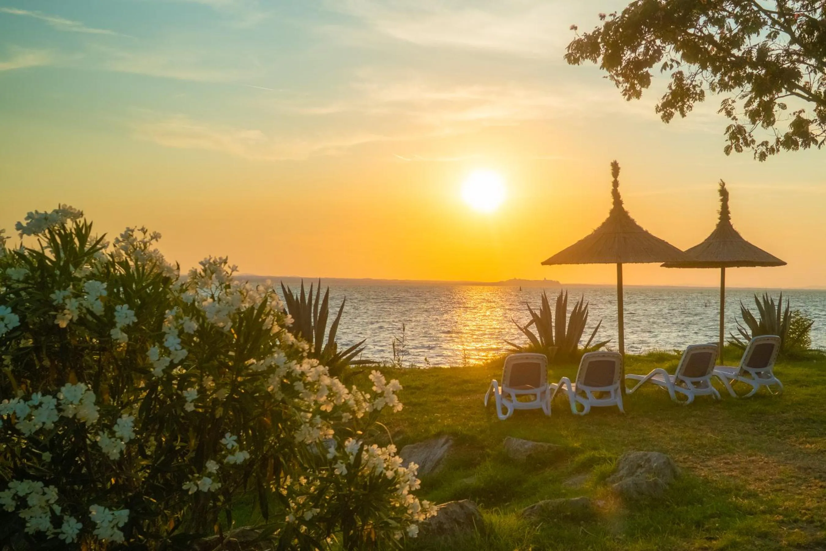 View (from property/room) in Trasimeno Glamping Resort