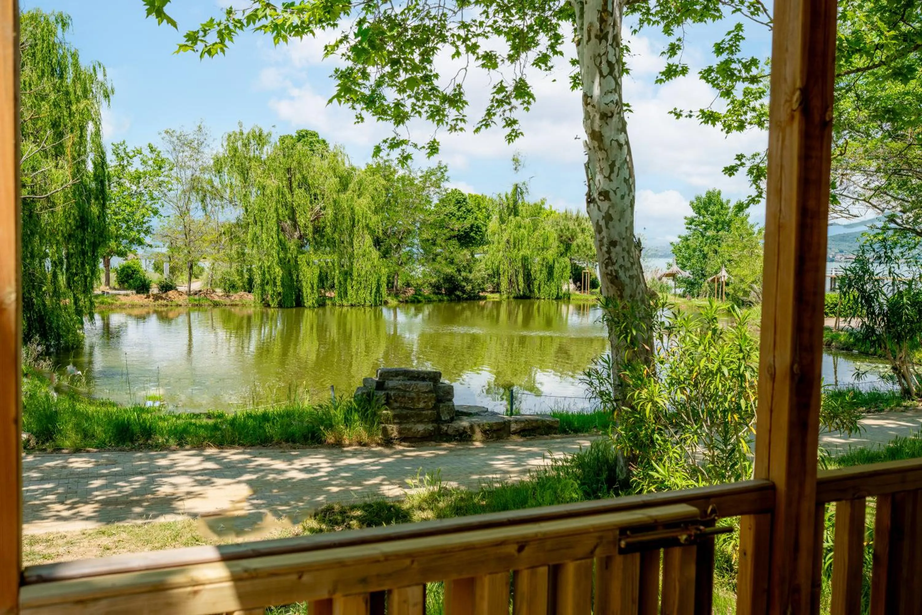 View (from property/room) in Trasimeno Glamping Resort