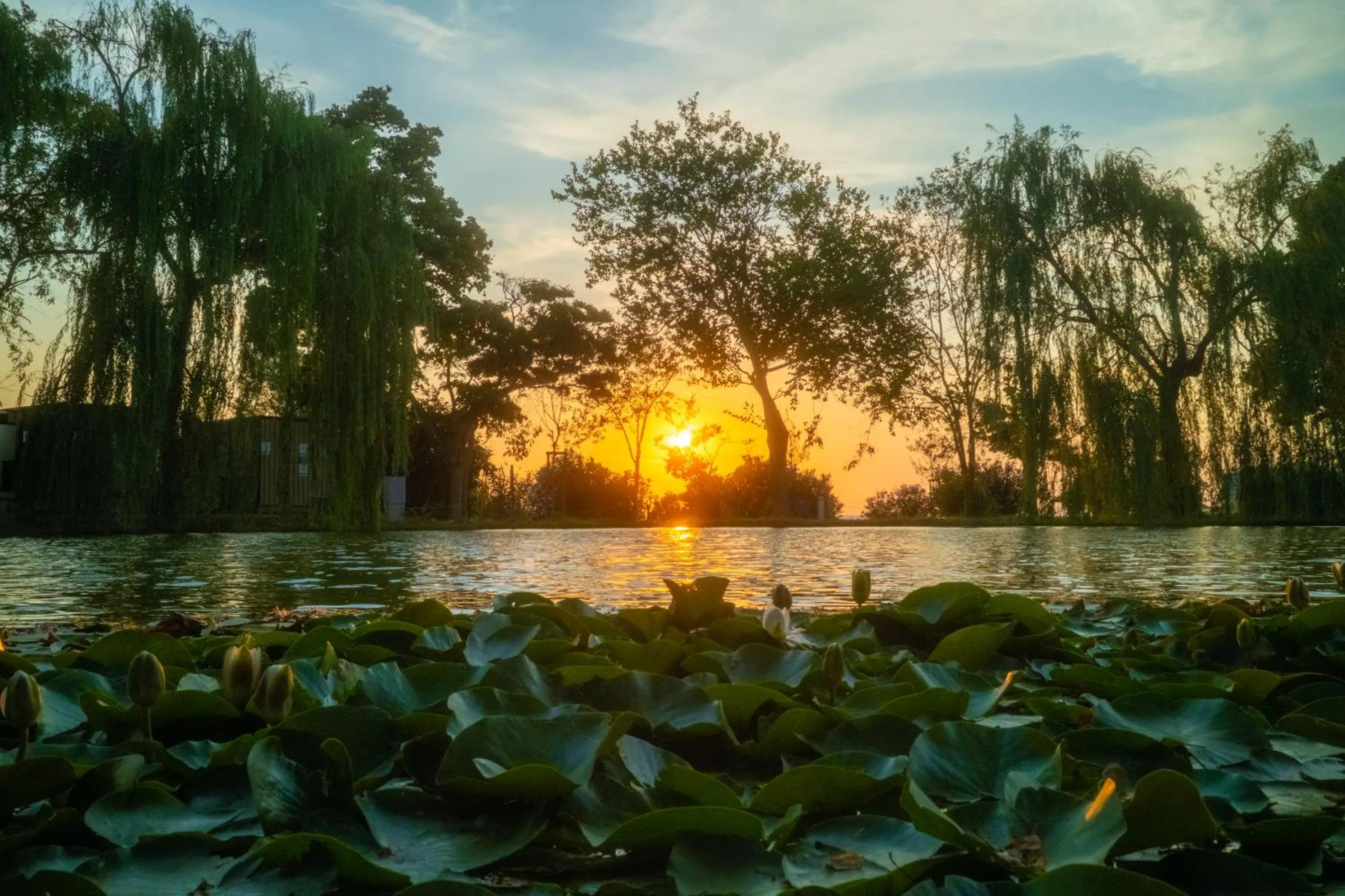 View (from property/room) in Trasimeno Glamping Resort