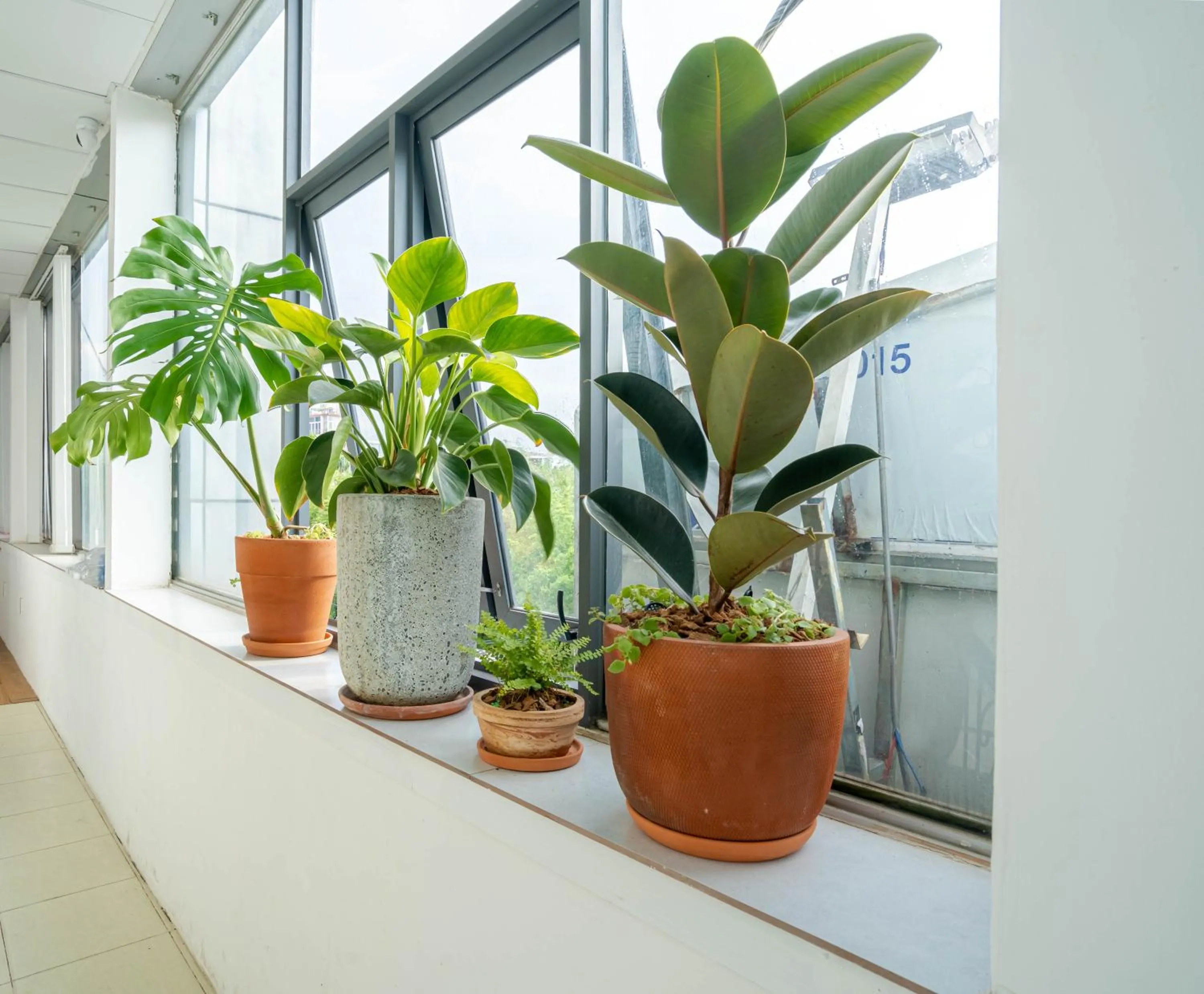 Property building in LalaHouse Summer Park