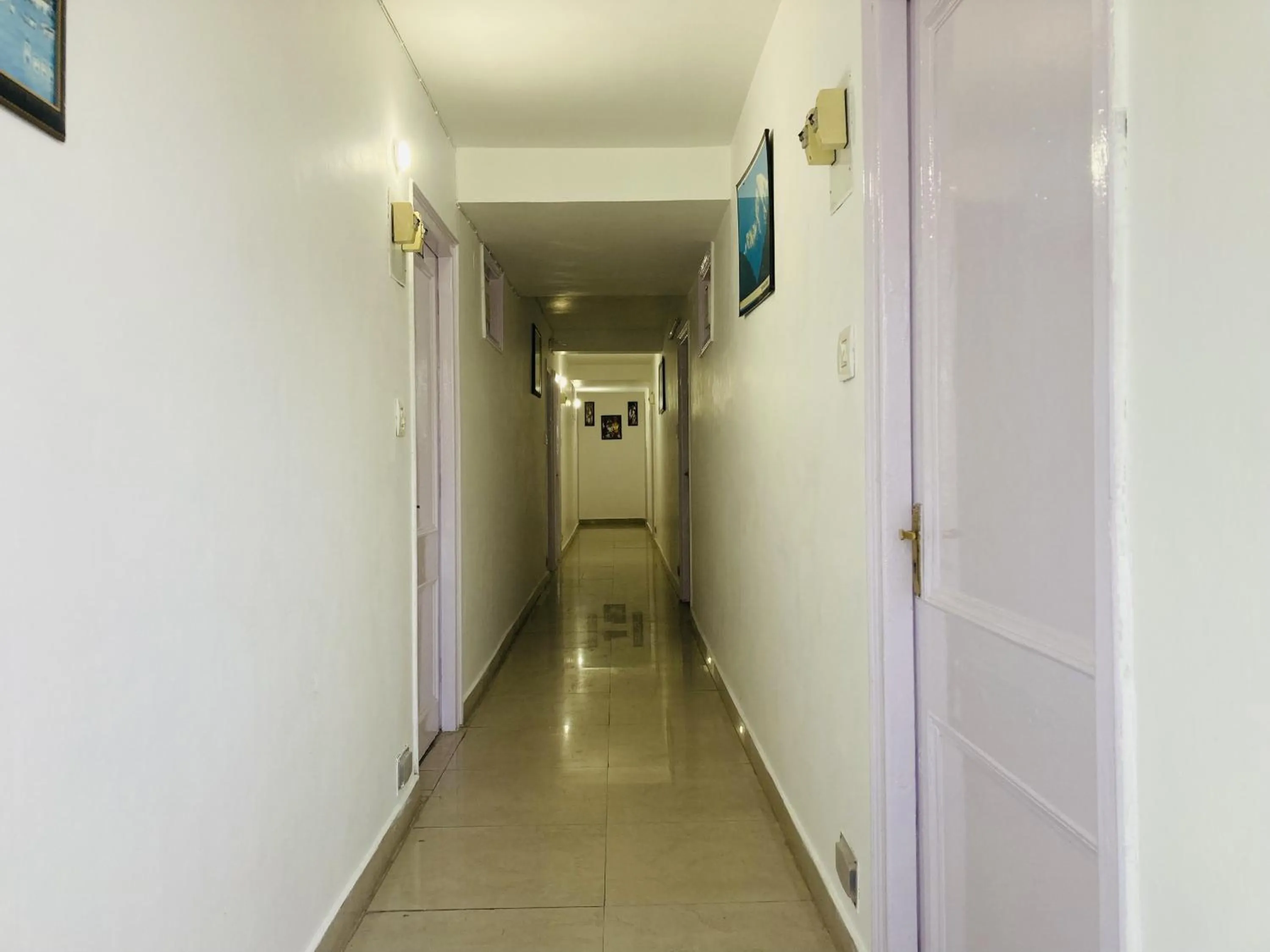 Property building in Western Nest International