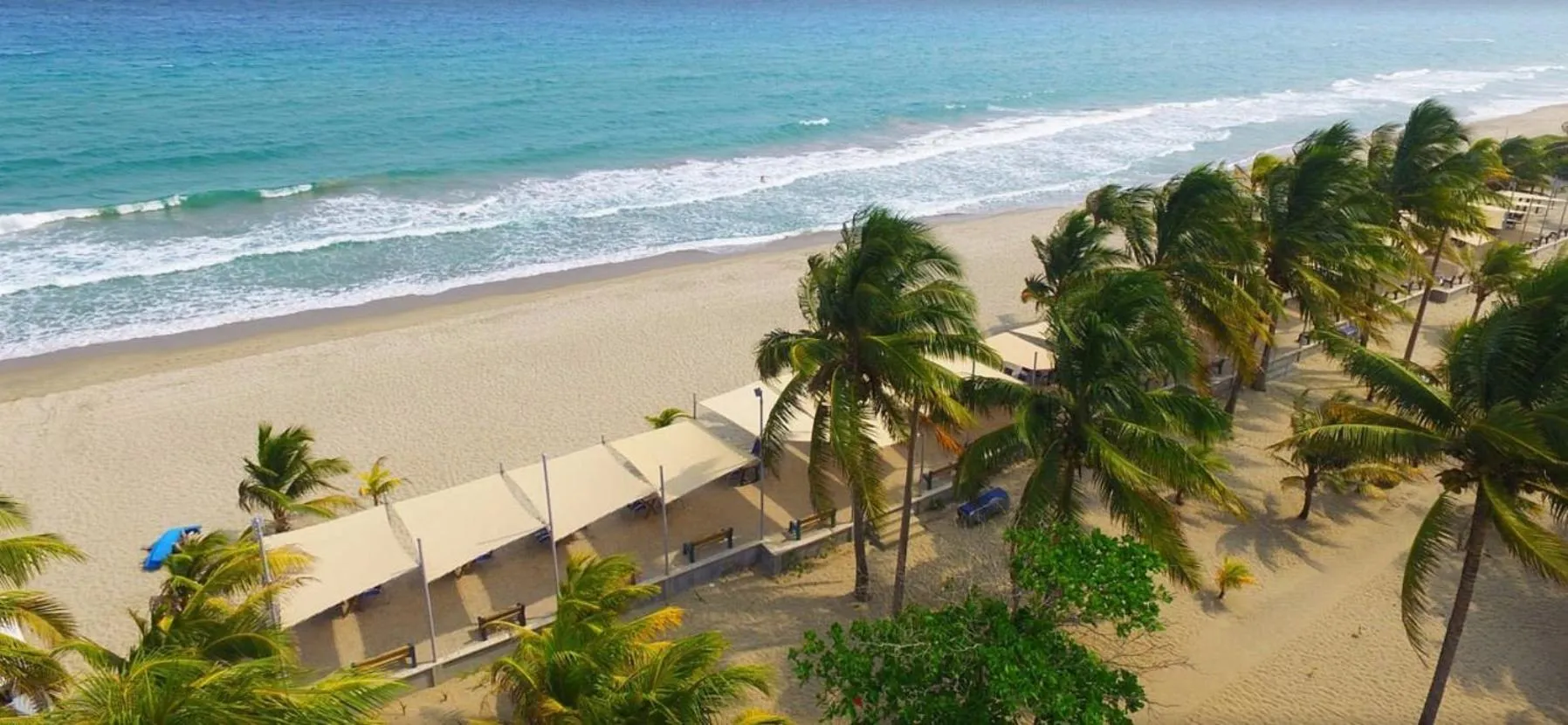 Honduras Shores Plantations