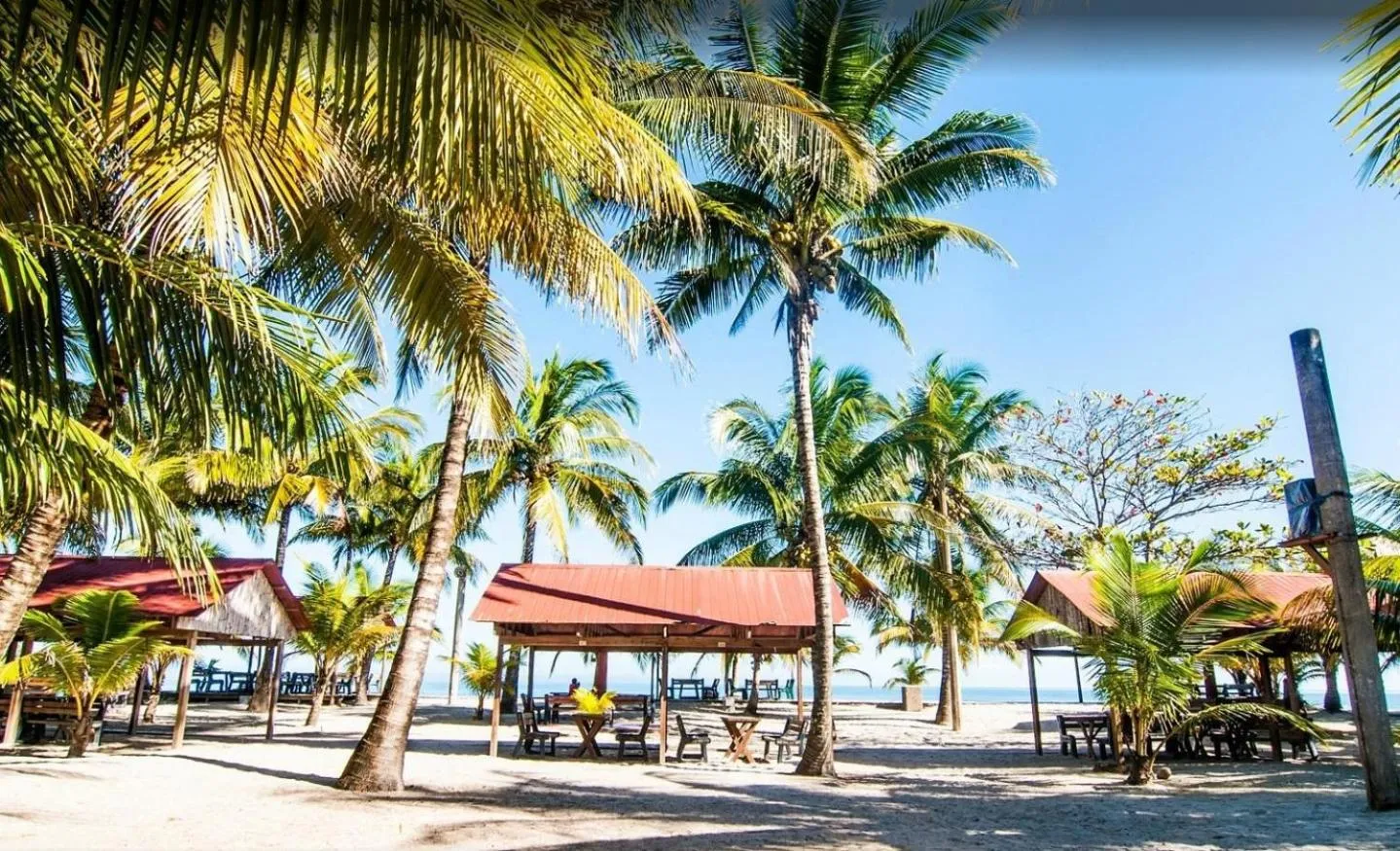 Honduras Shores Plantations