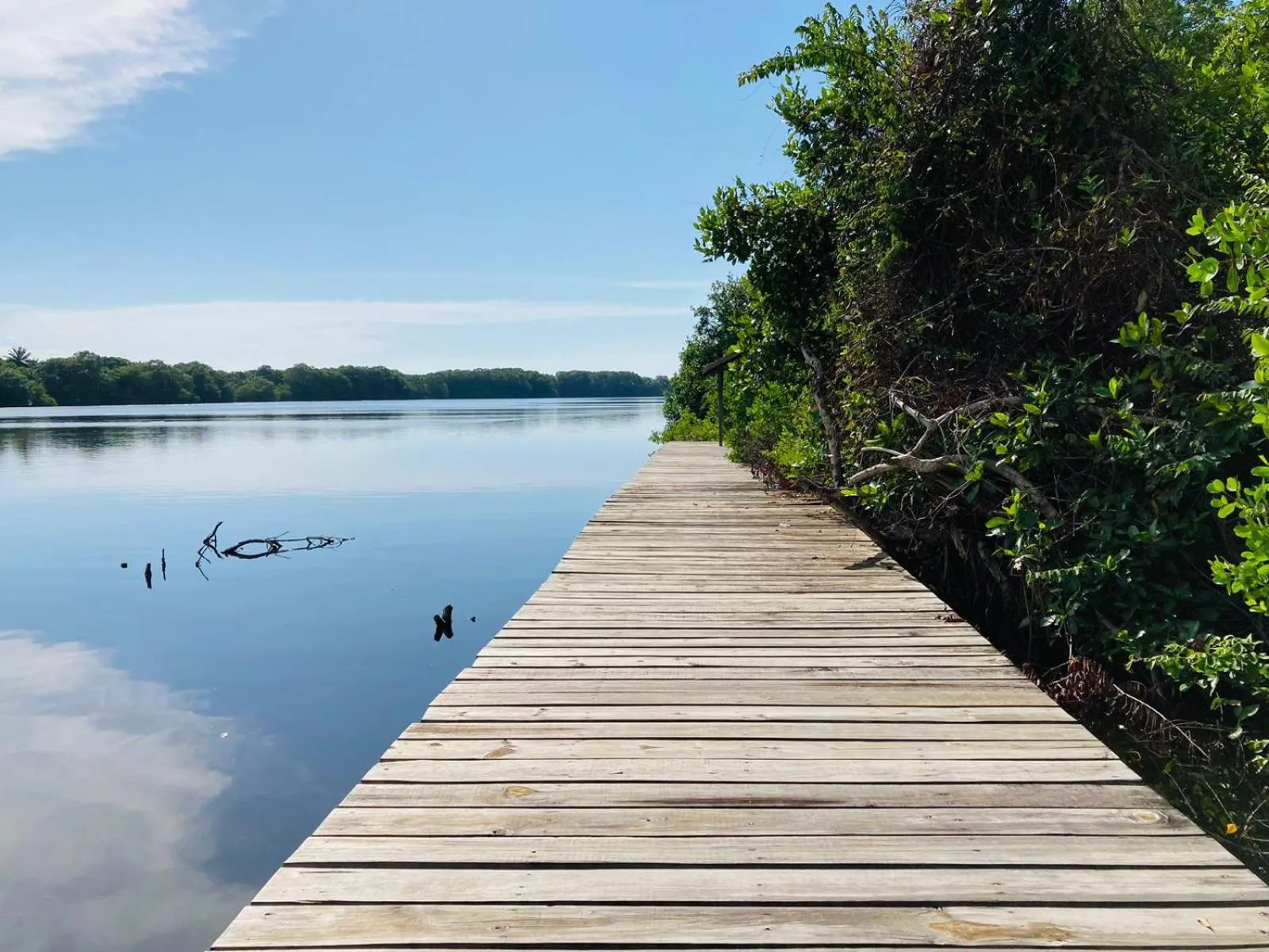 Honduras Shores Plantations