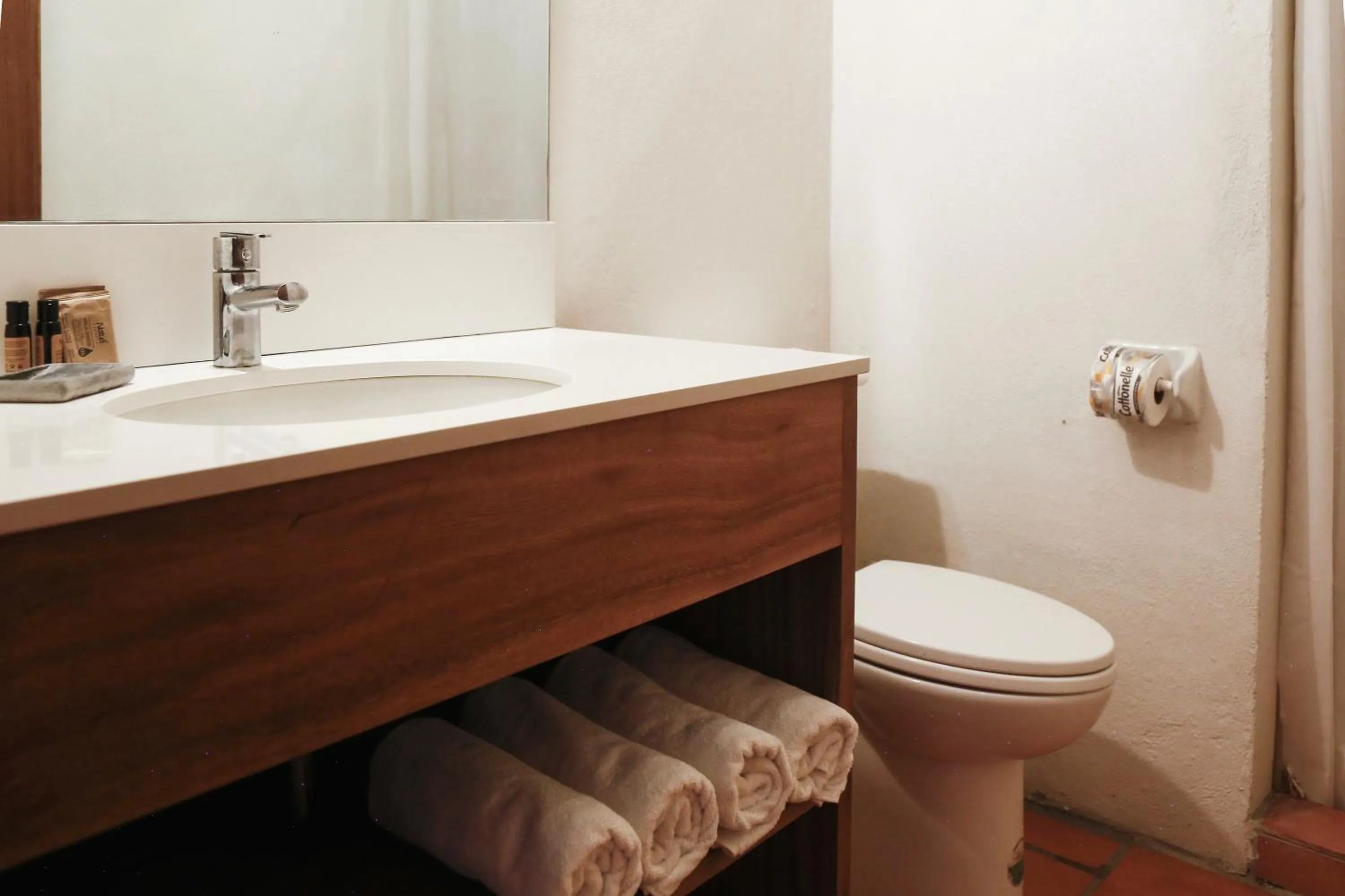 Toilet in HOTEL AURELIA