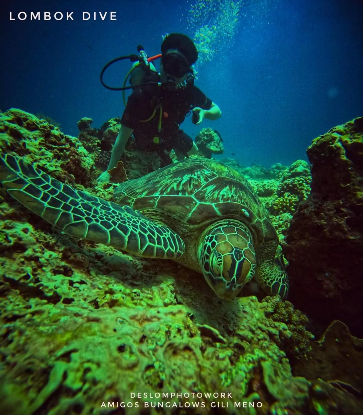 AMIGOS BUNGALOWS GILI MENO