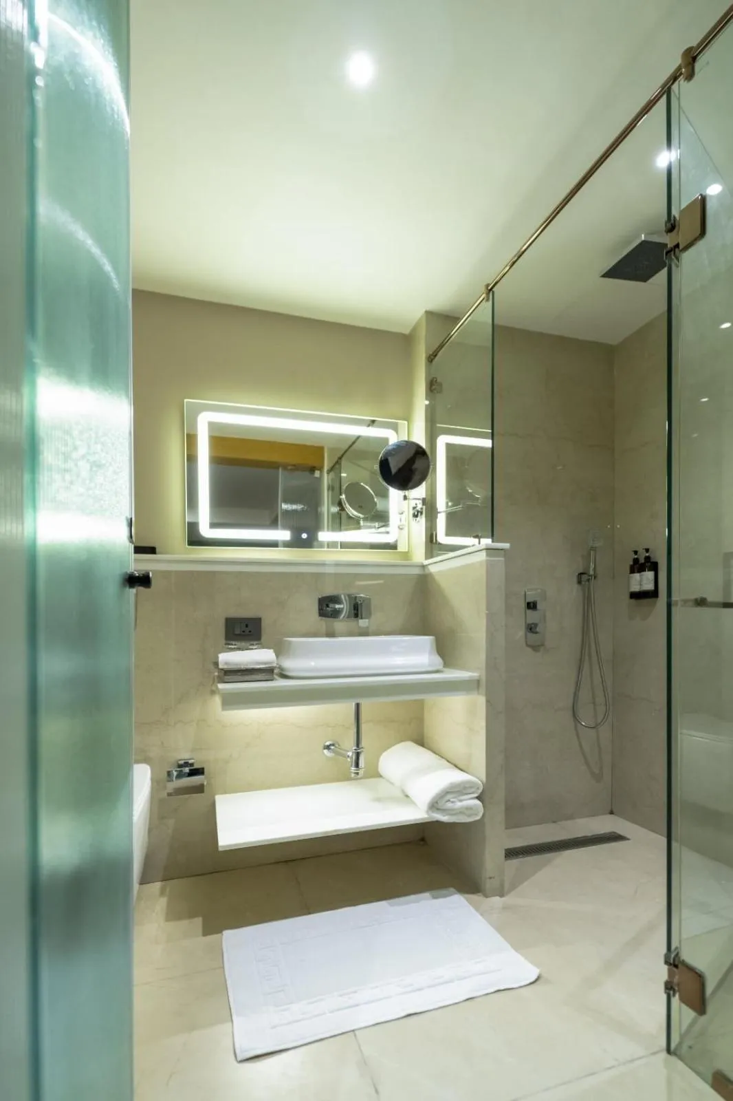 Shower in Regenta Inn Bhavani Nellore By Royal Orchid Hotels