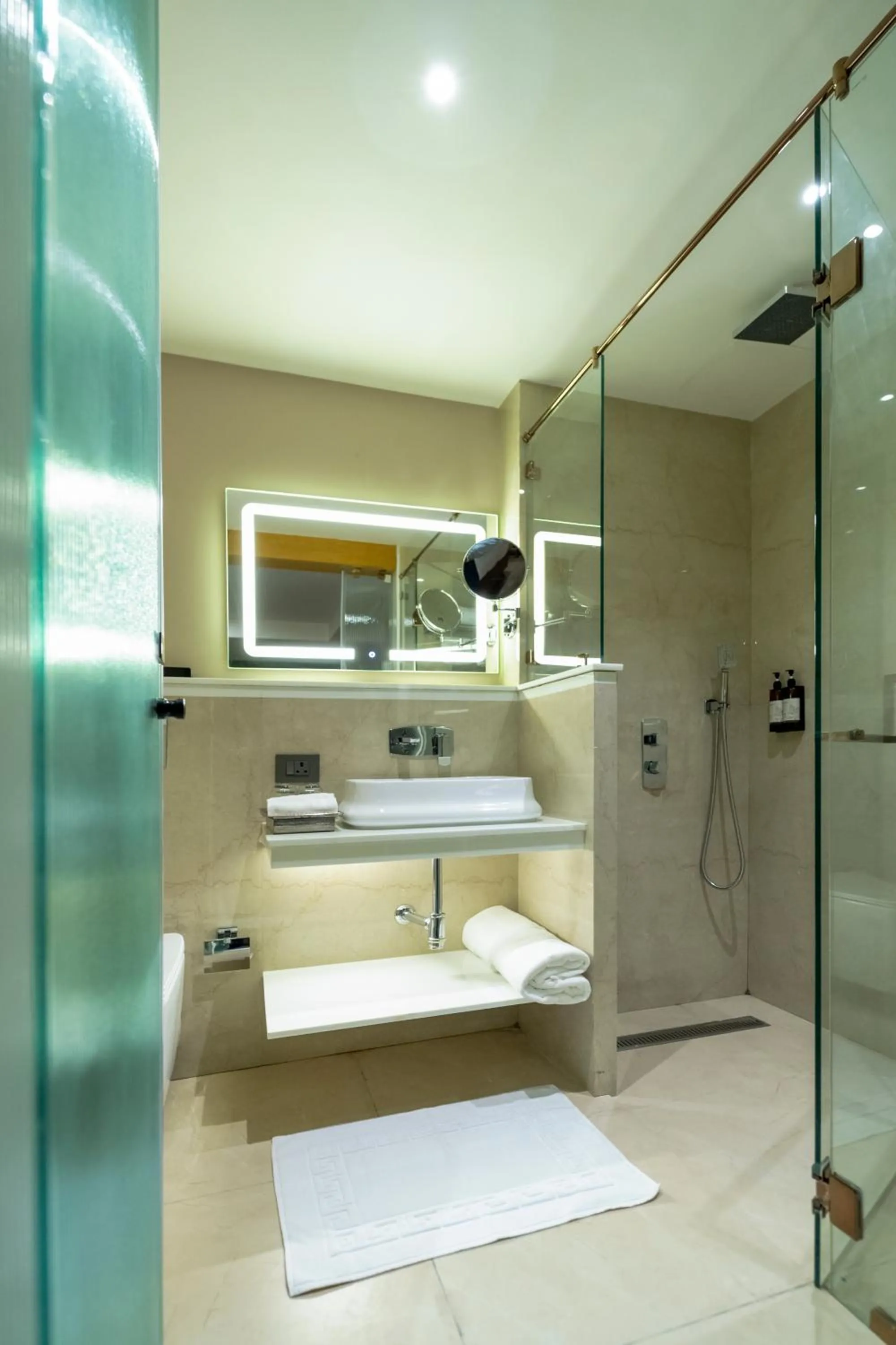 Shower in Regenta Inn Bhavani Nellore By Royal Orchid Hotels