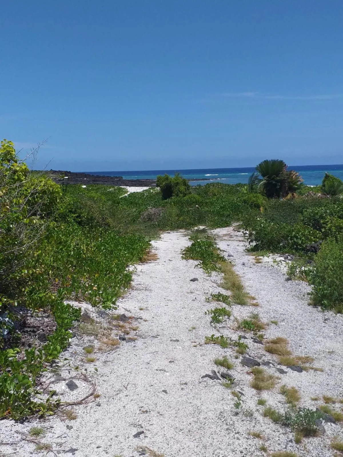 Day in Chalets Chomoni