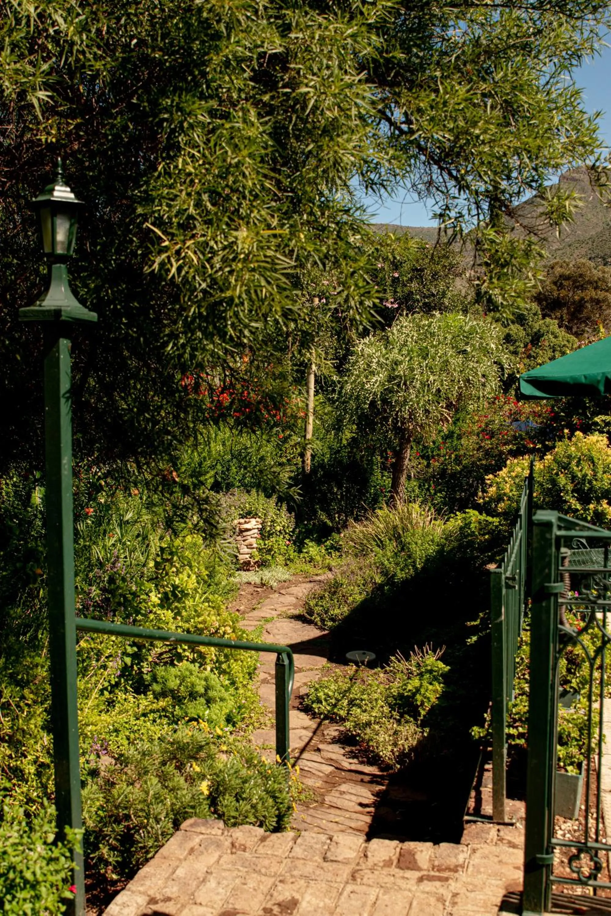 Property building in 4 Rothman Street B&B