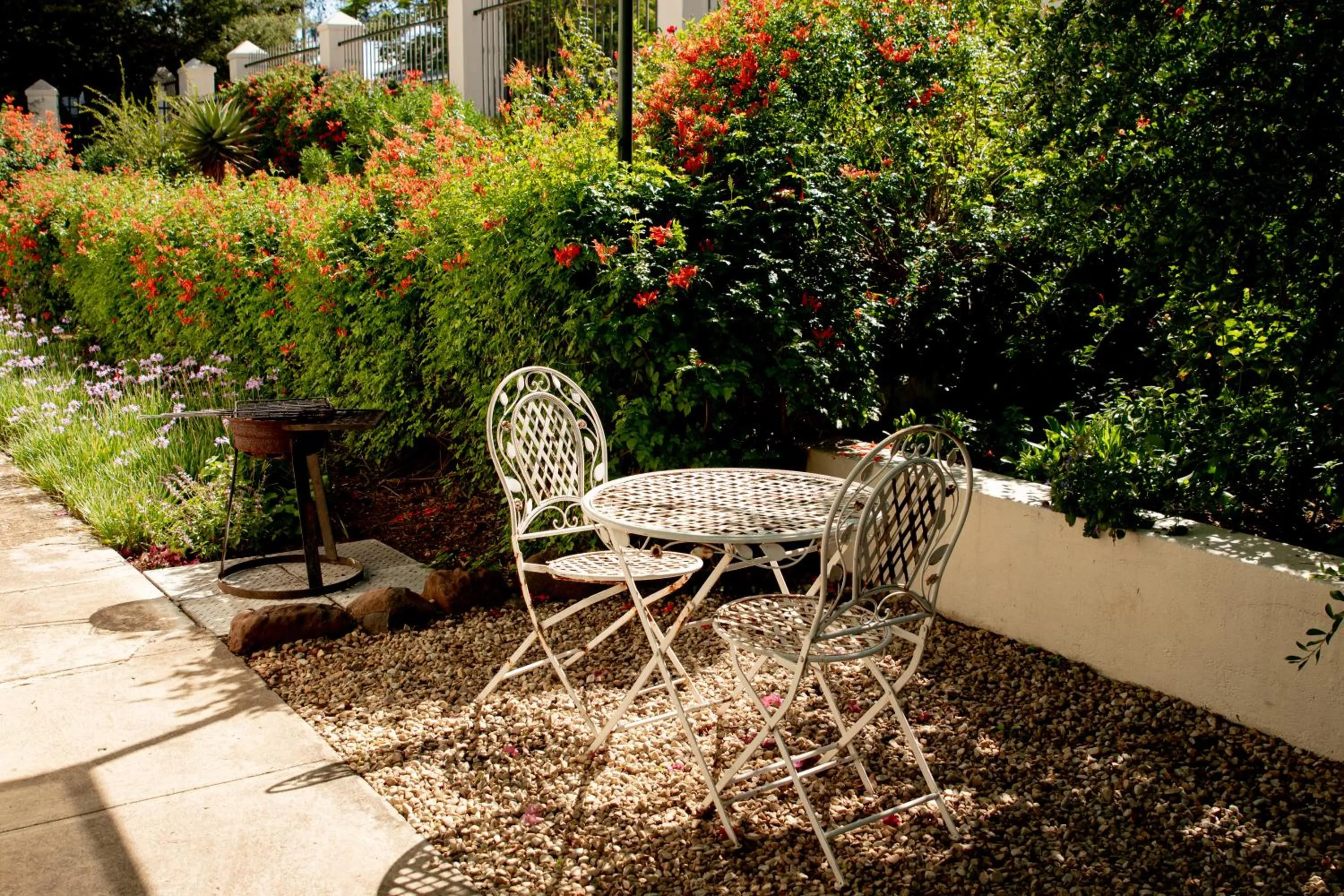 Garden in 4 Rothman Street B&B