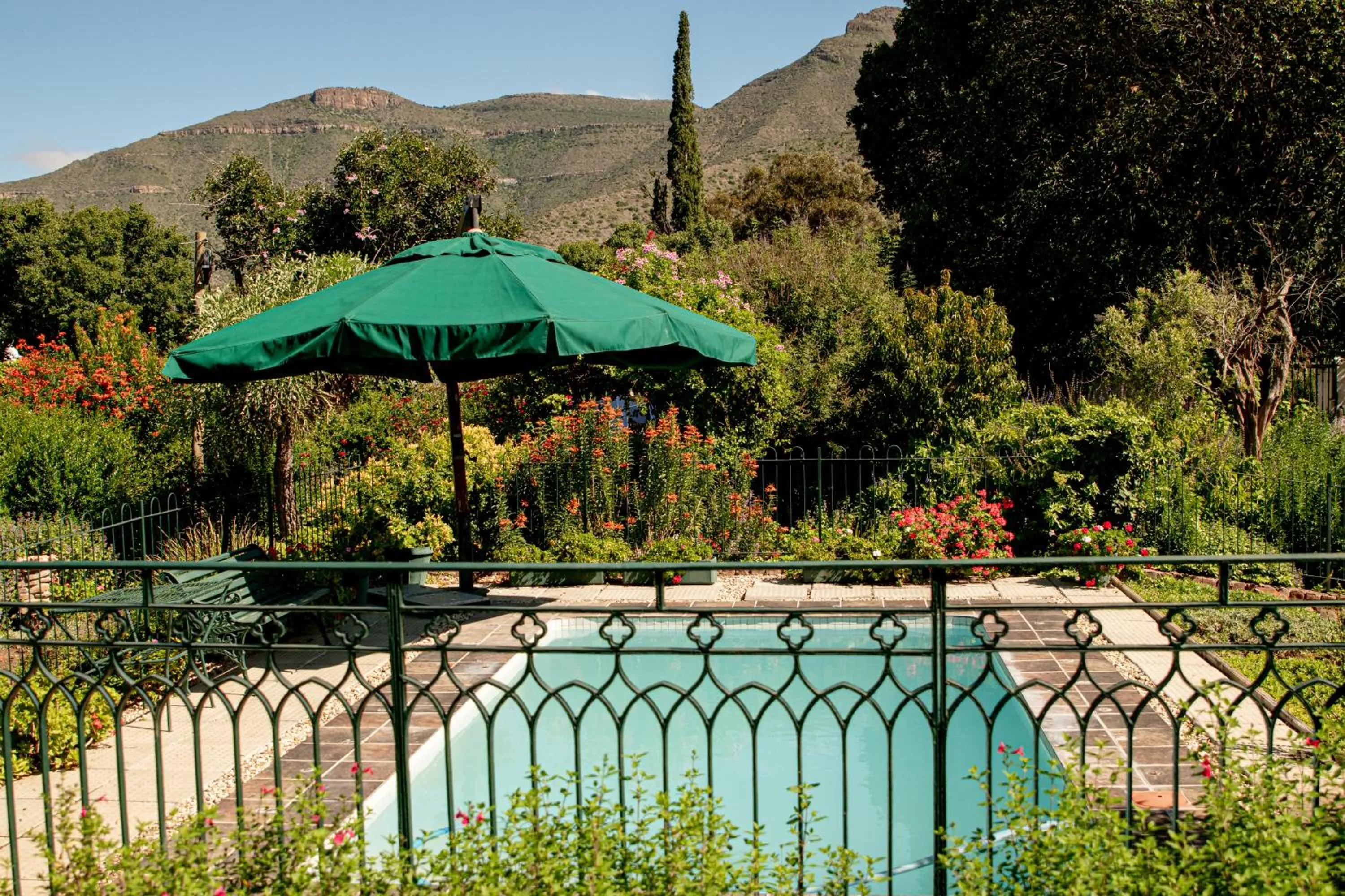 Swimming pool in 4 Rothman Street B&B