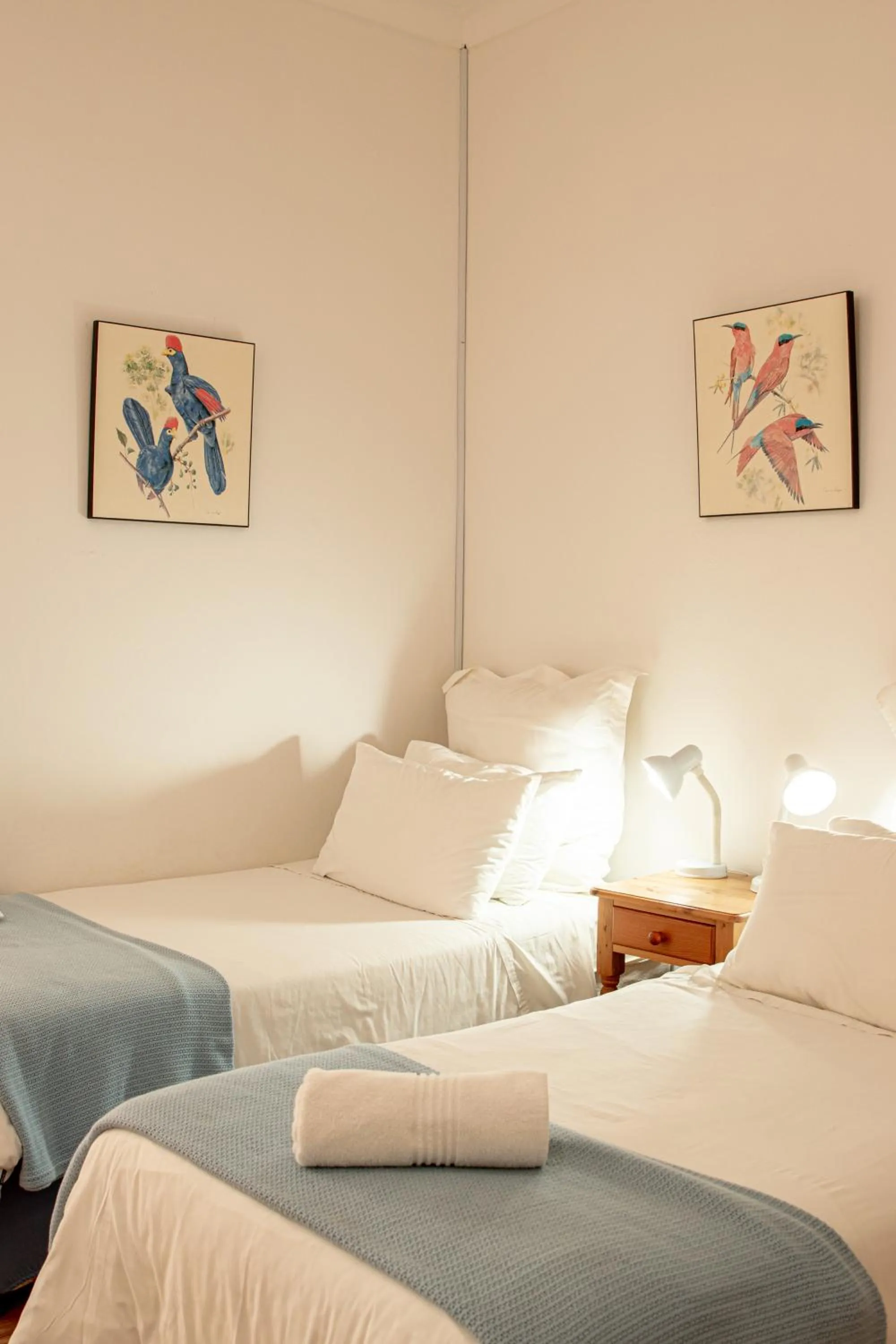 Bed in 4 Rothman Street B&B