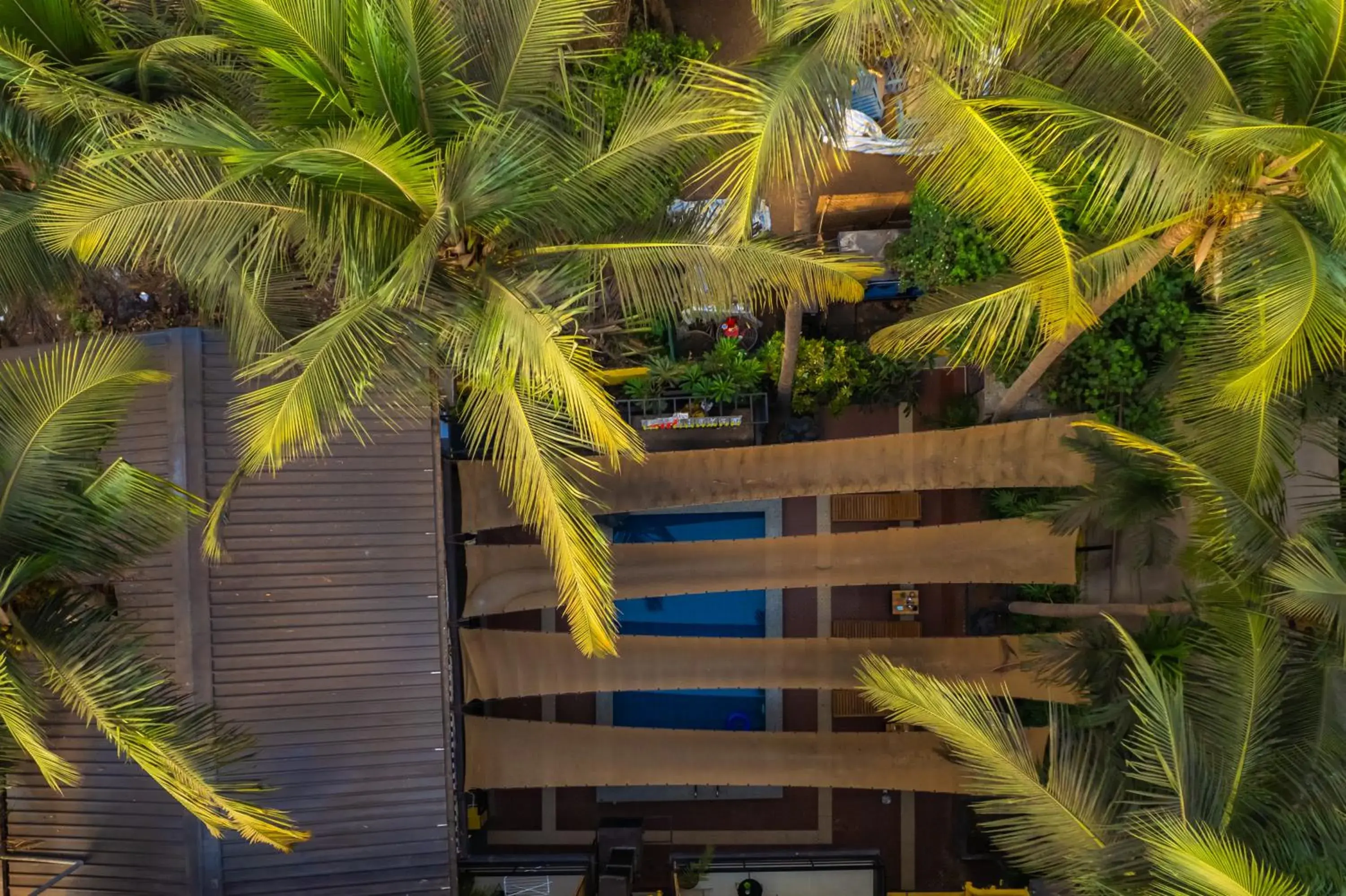 Garden view in Whoopers Boutique Hotel Morjim Garden view in Whoopers Boutique Hotel Morjim