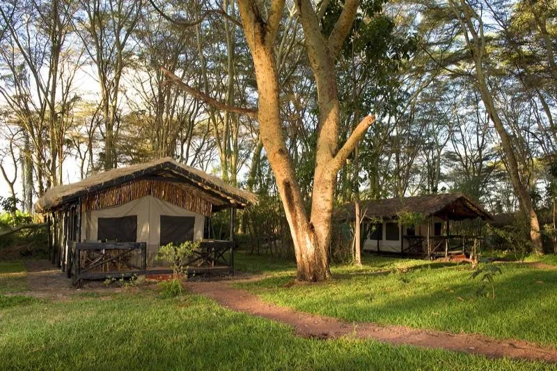 Property building in Migunga Tented Camp