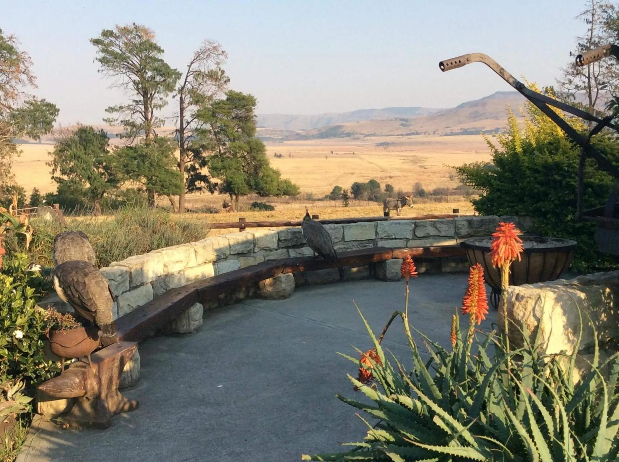 BBQ facilities in Petra's Country Guesthouse