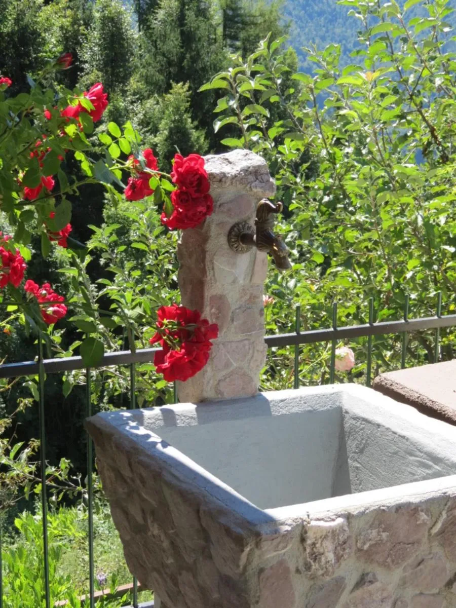 Garden in Apartment Bon