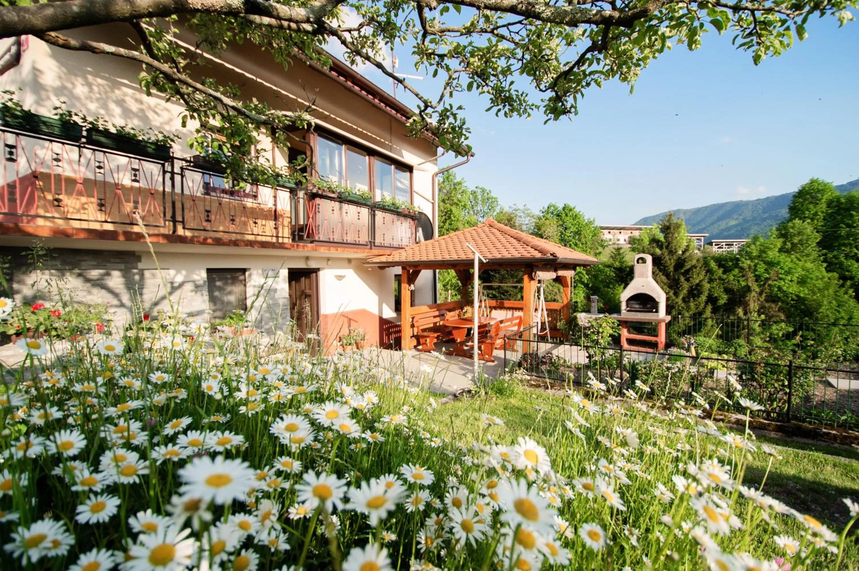 Property building in Apartment Bon