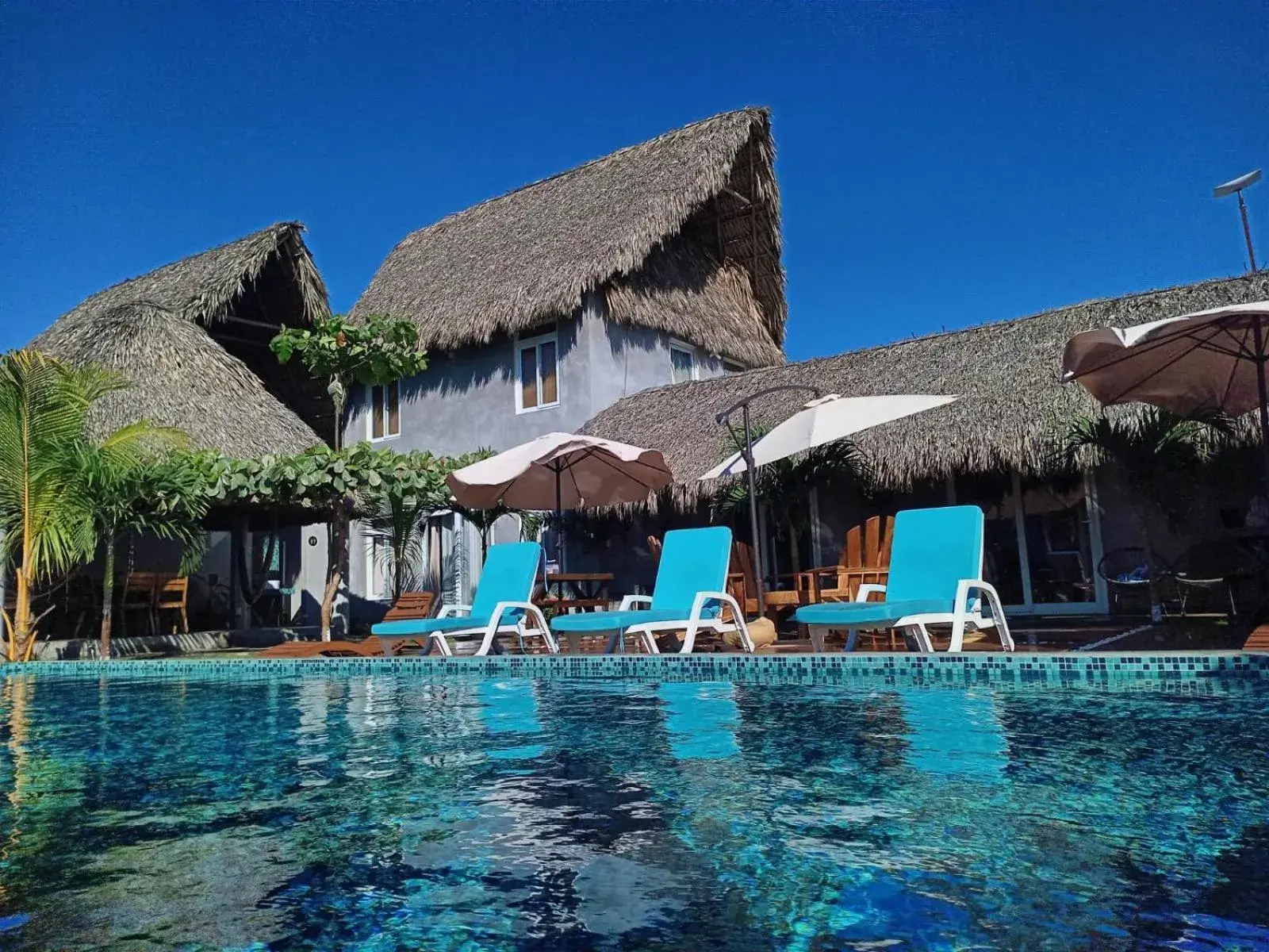 Gecko Hotel Gecko Hotel