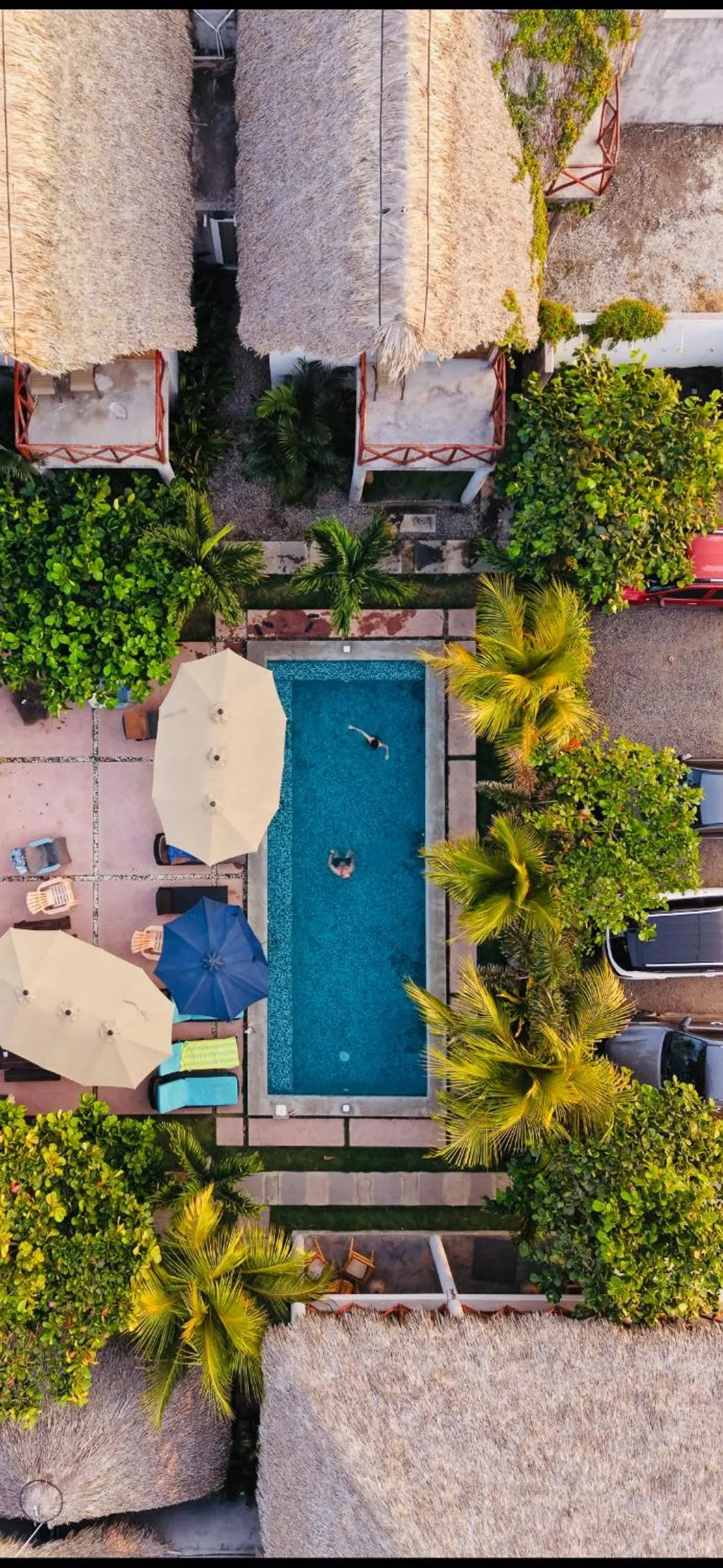 Gecko Hotel