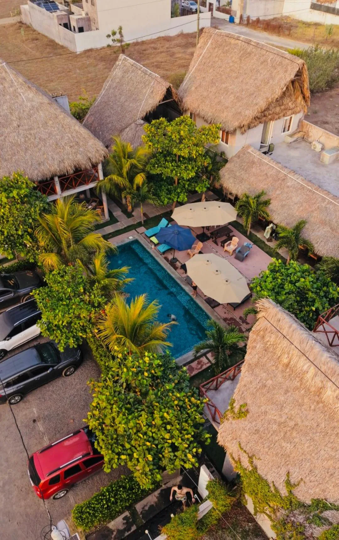 Gecko Hotel