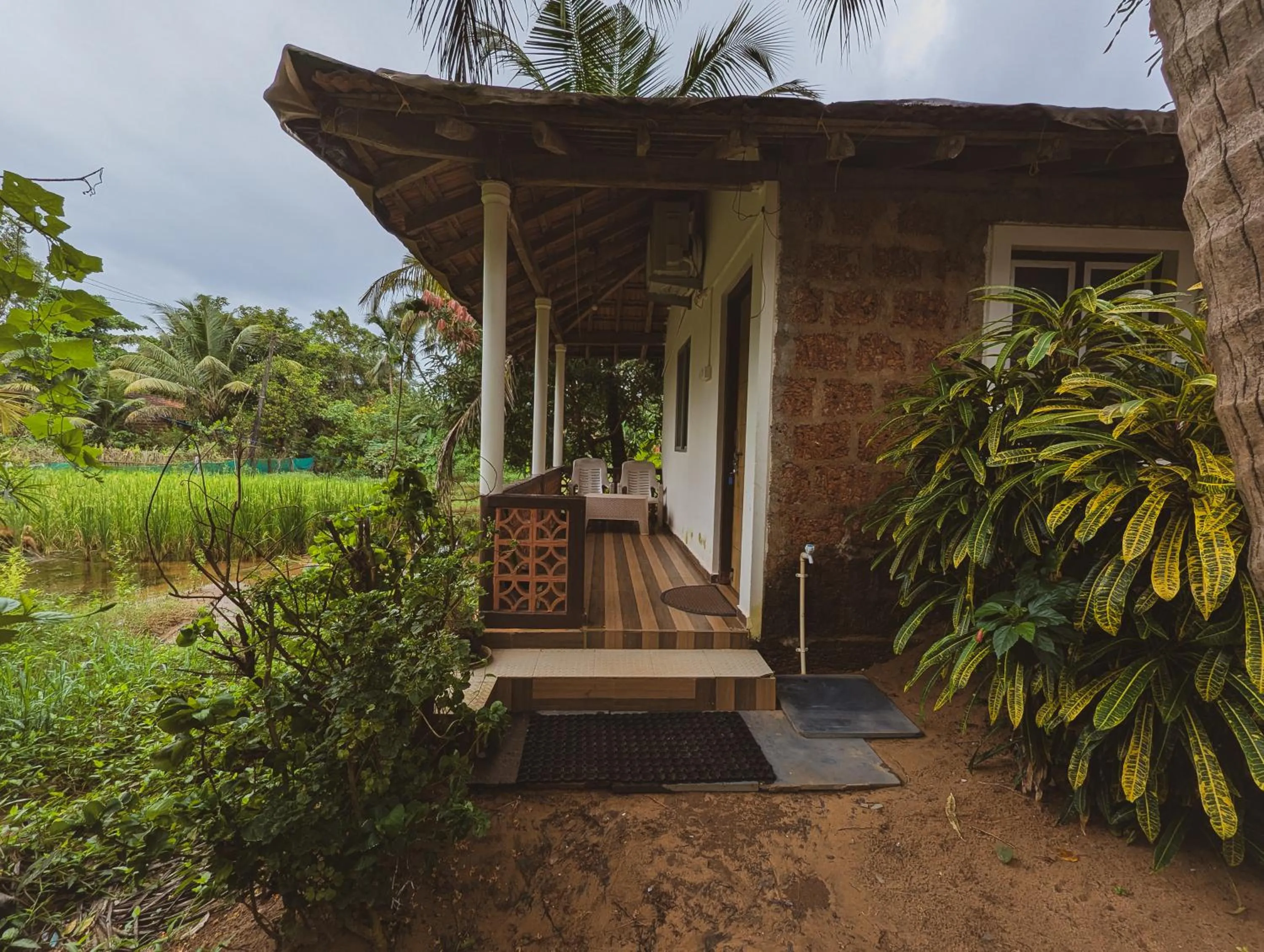 Garden in Sunset Cafe Beach Stay