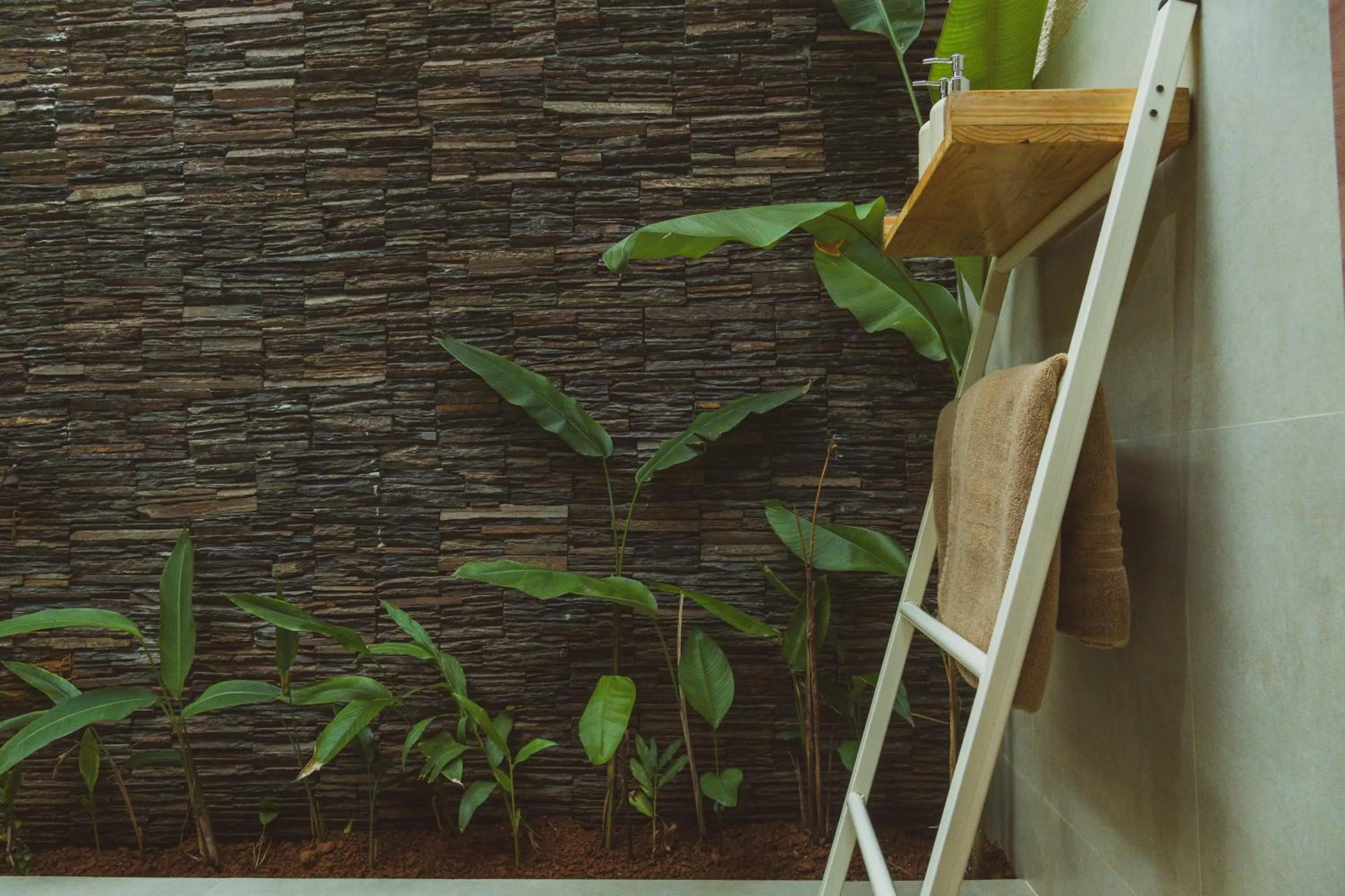 Garden in Sunset Cafe Beach Stay