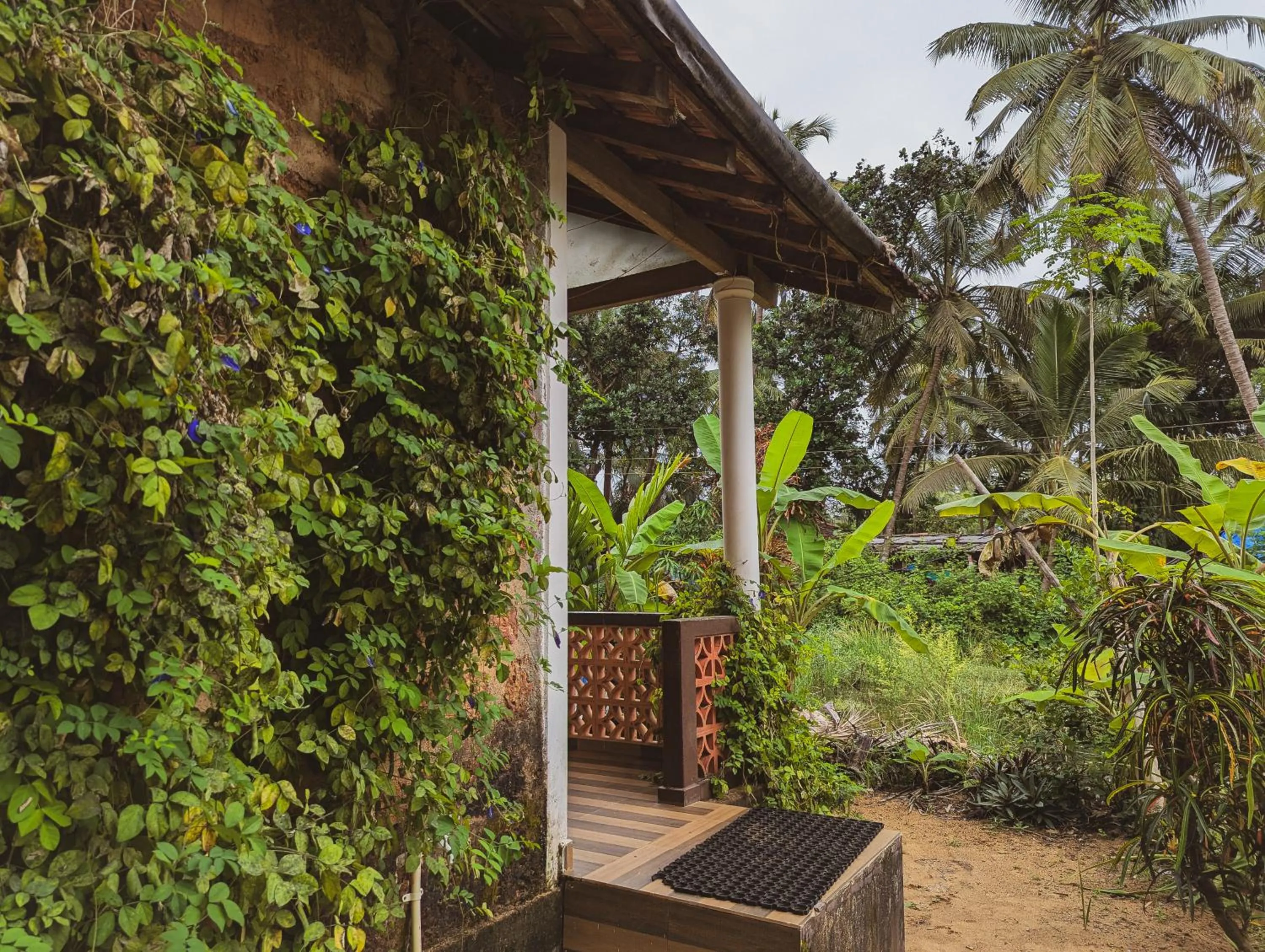 Garden in Sunset Cafe Beach Stay