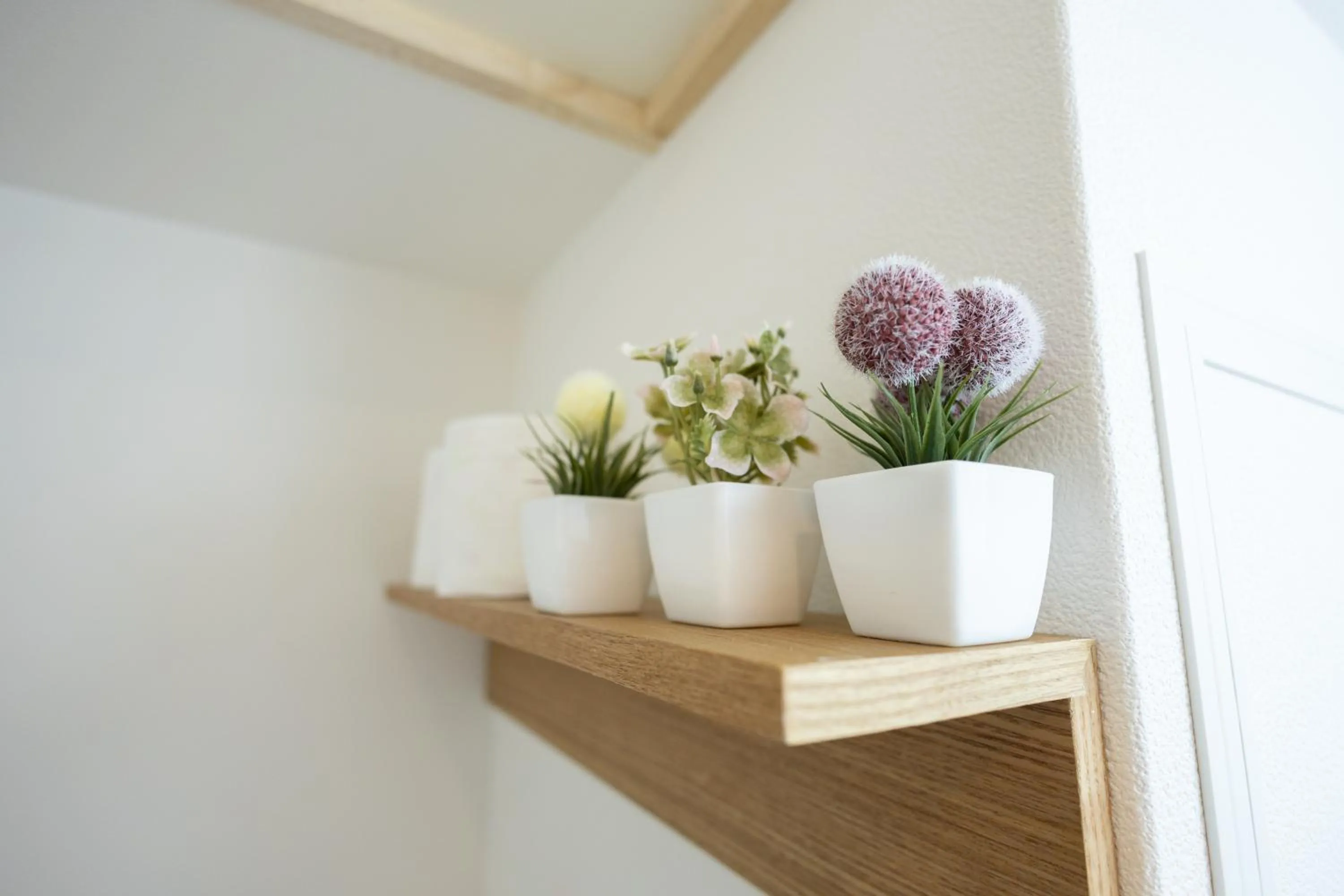 nestay apartment osaka ebisu