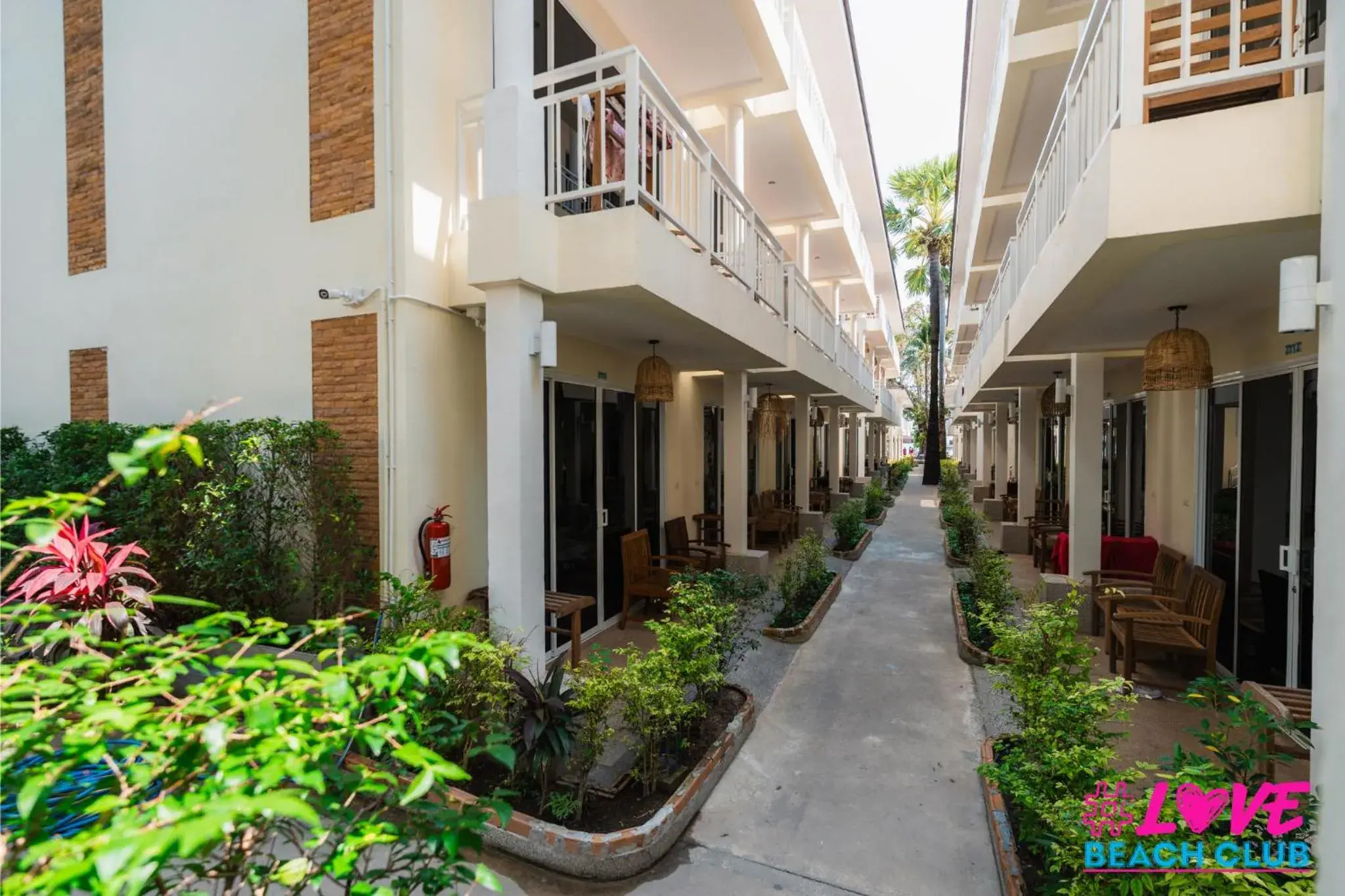 Property building in LOVE beach club Koh Samui Property building in LOVE beach club Koh Samui