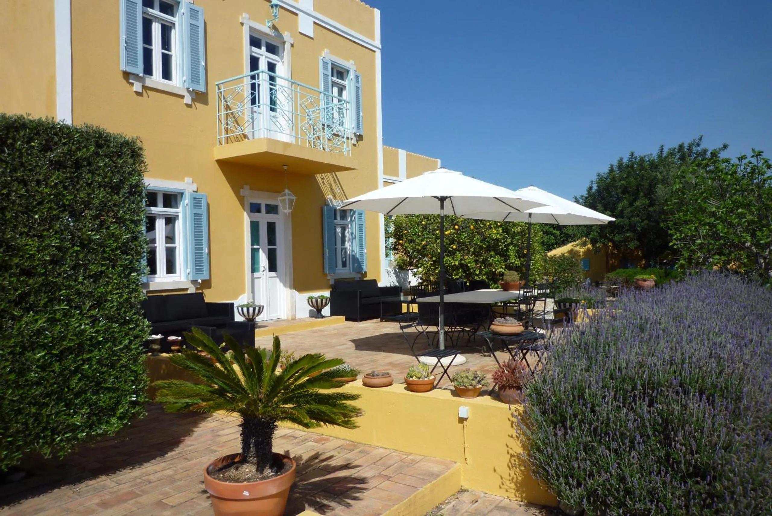 Property building in Quinta Amarela XL by Portucasa
