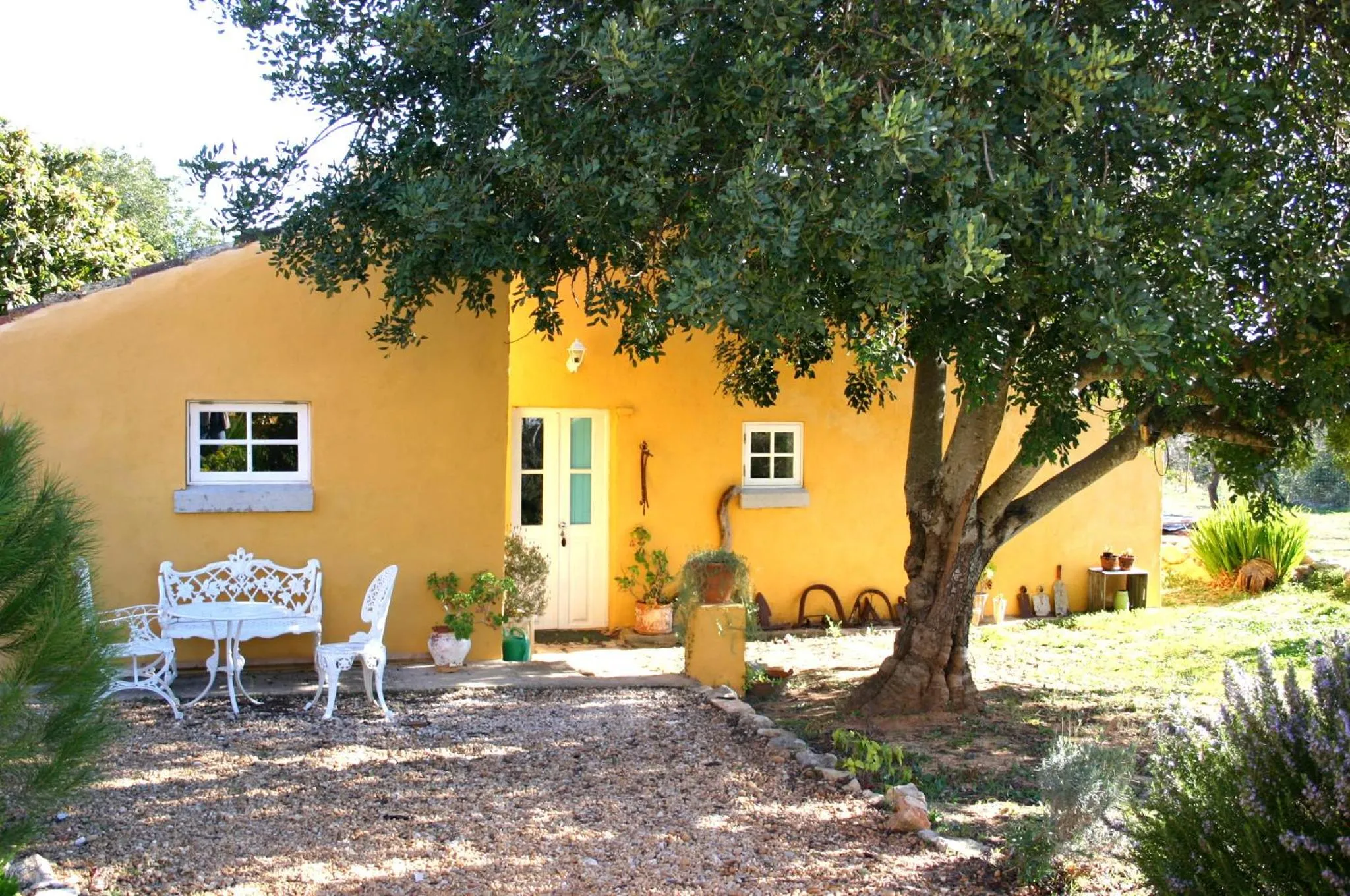 Off site in Quinta Amarela XL by Portucasa