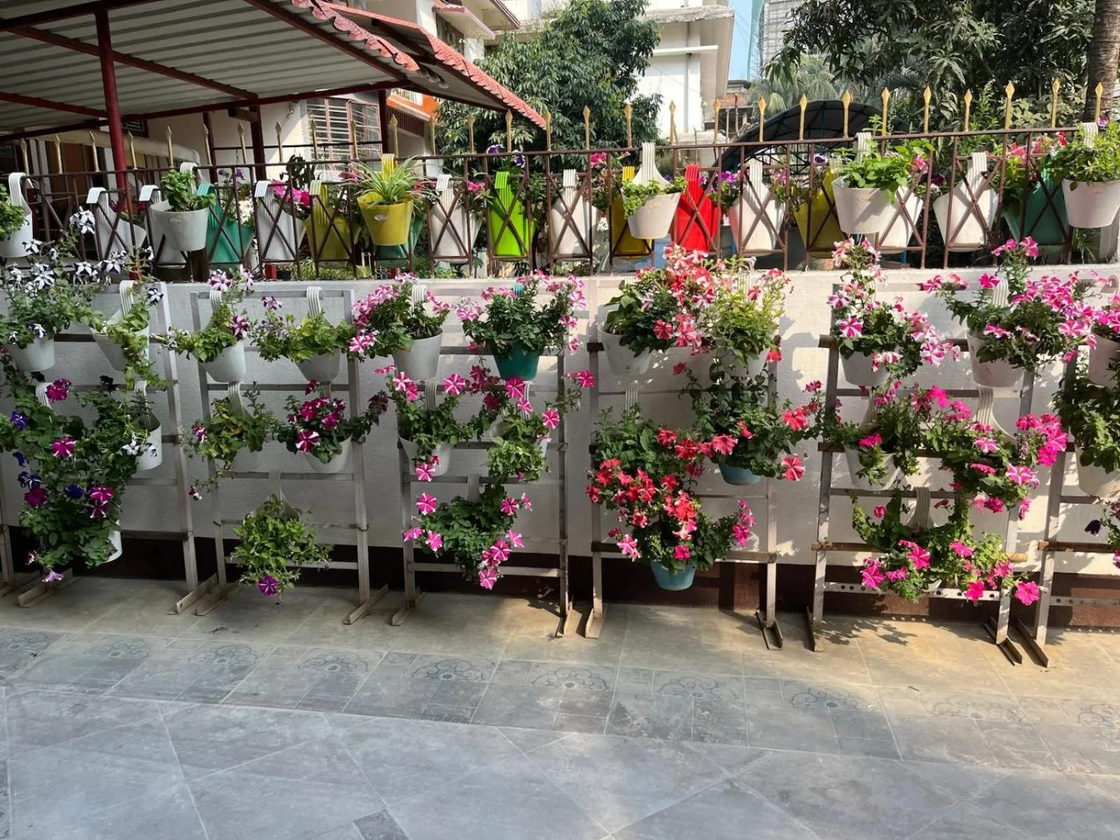 Garden in Amazing Homestay