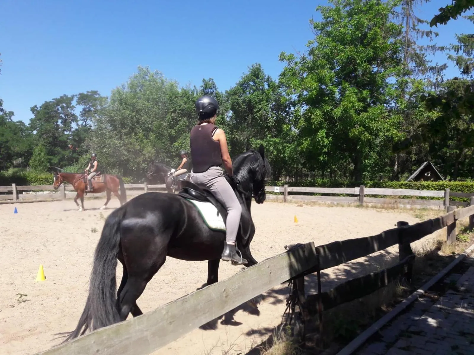 Horse-riding in Augustusgabe Barby
