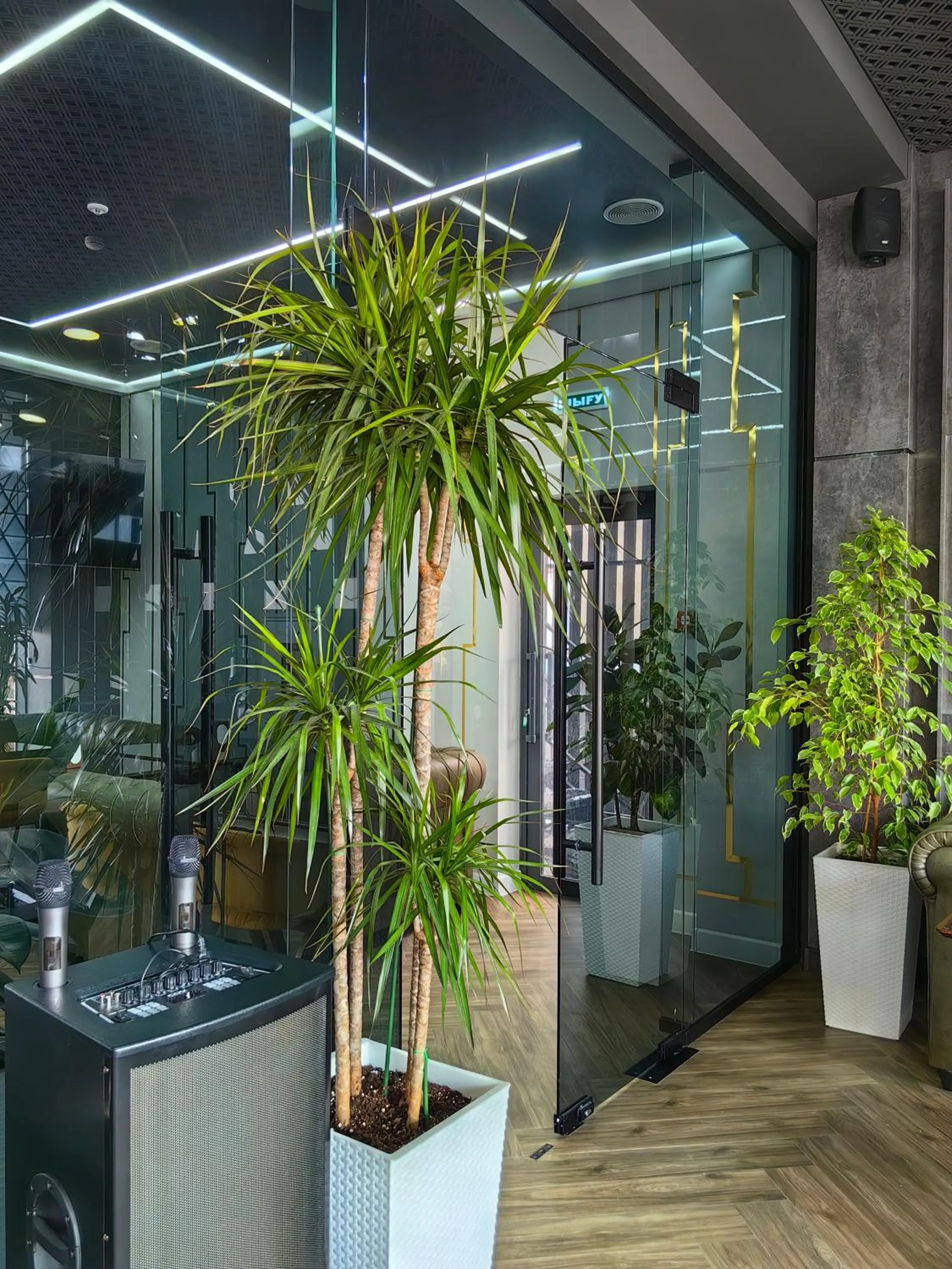 Restaurant/places to eat in Shymkent Park Hotel