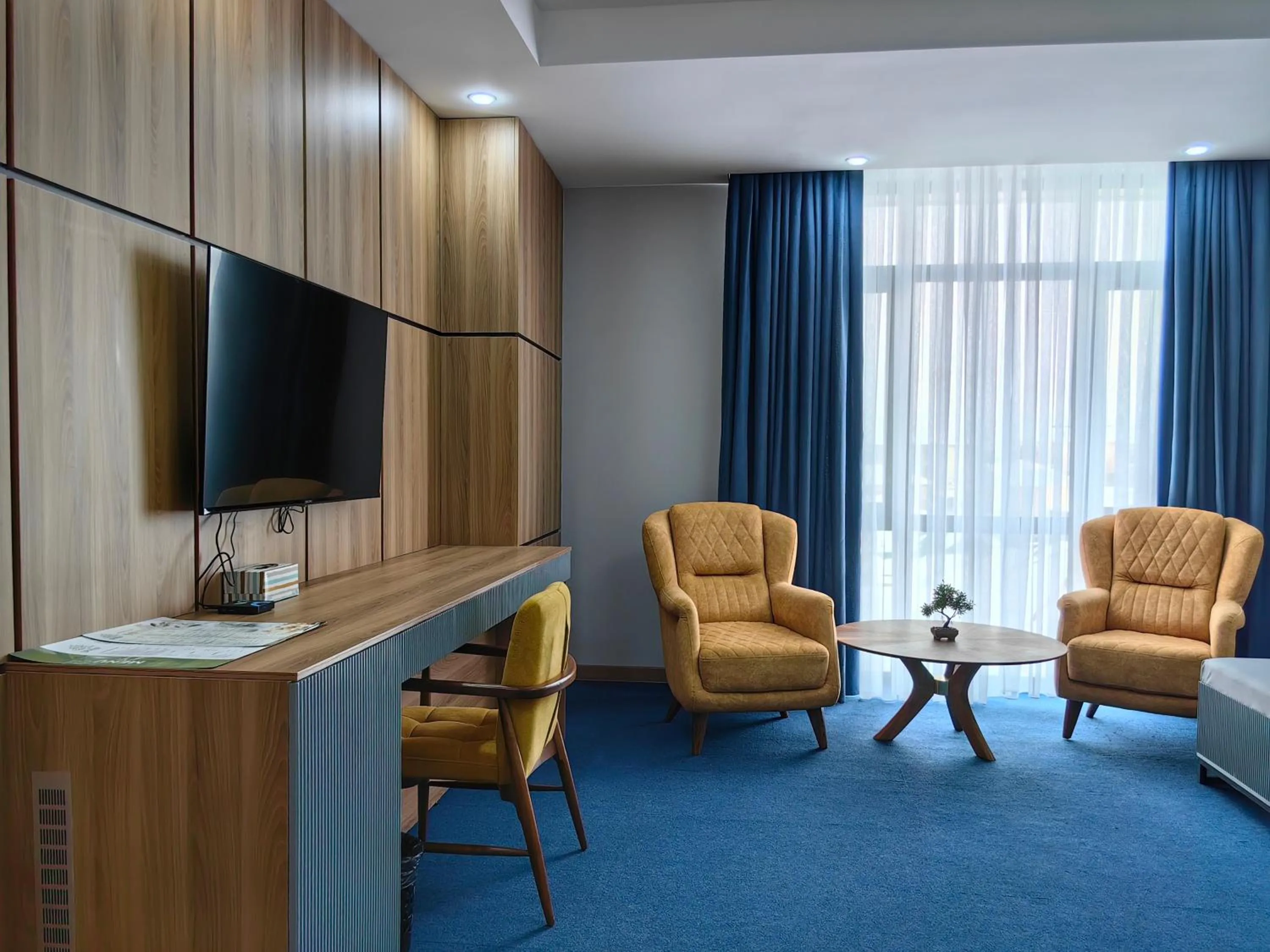 TV and multimedia in Shymkent Park Hotel