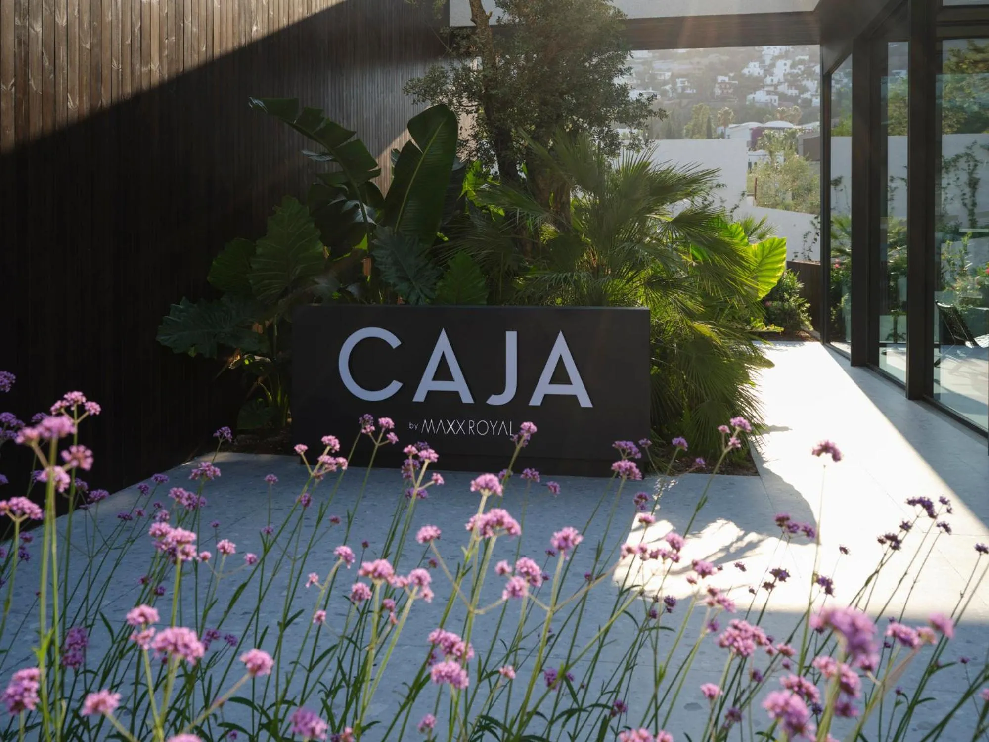 Property building in Caja by Maxx Royal