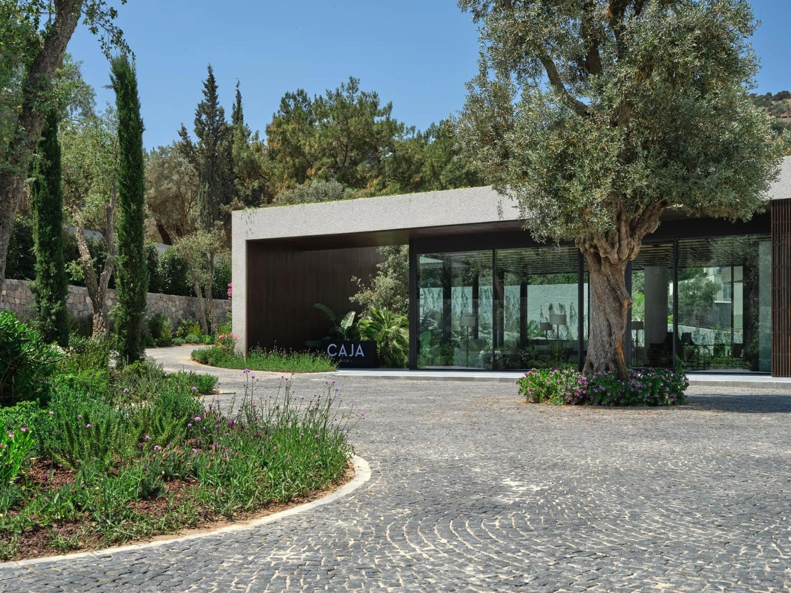 Property building in Caja by Maxx Royal