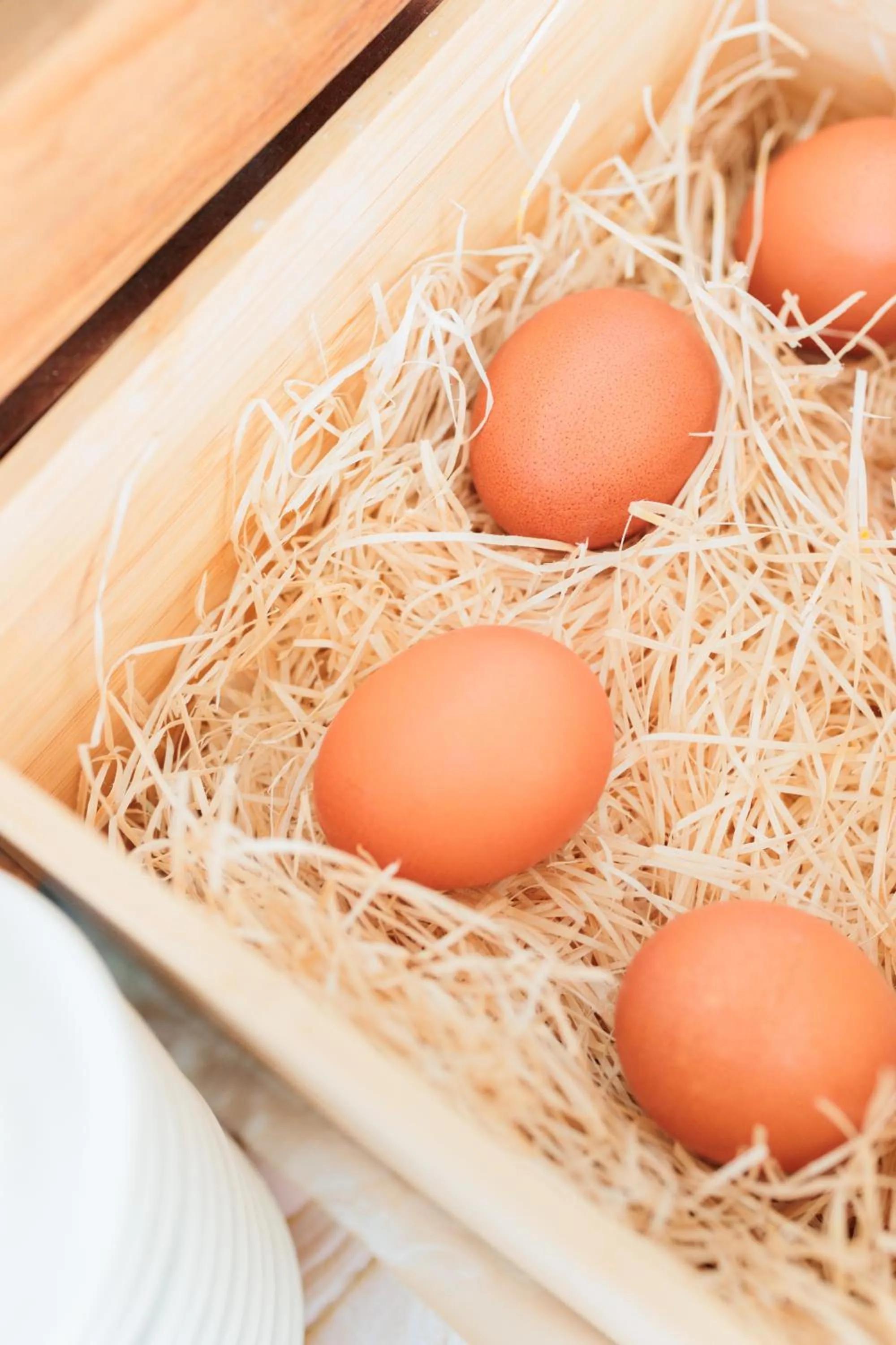 Breakfast in Hotel Centrale Miramare