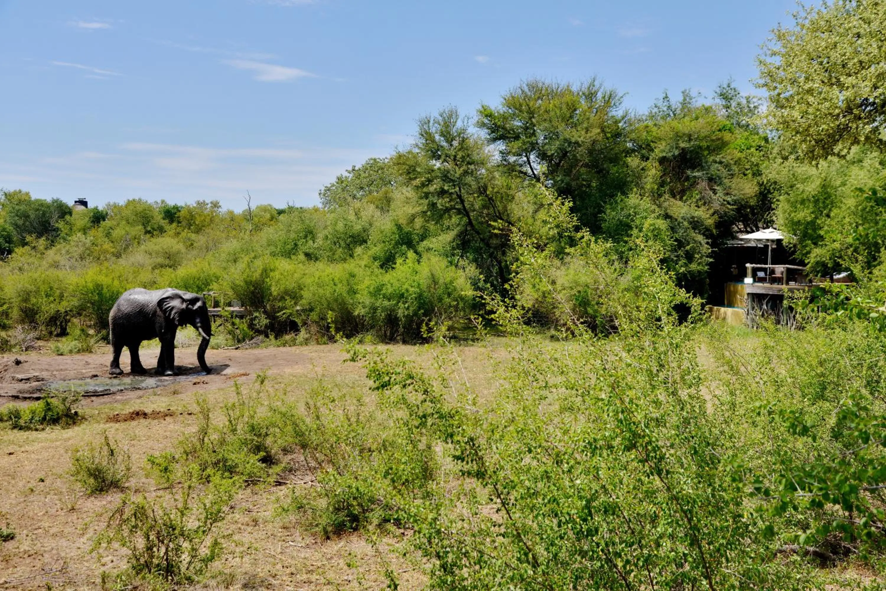 Natural landscape in Motswiri Private Safari Lodge